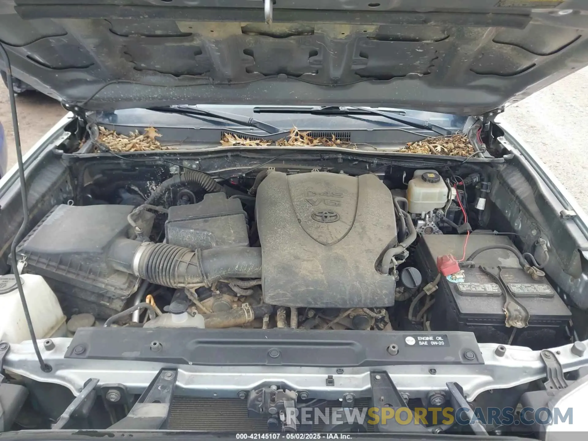 10 fotografías del automóvil dañado 3TMCZ5AN5KM261196 TOYOTA TACOMA 2019