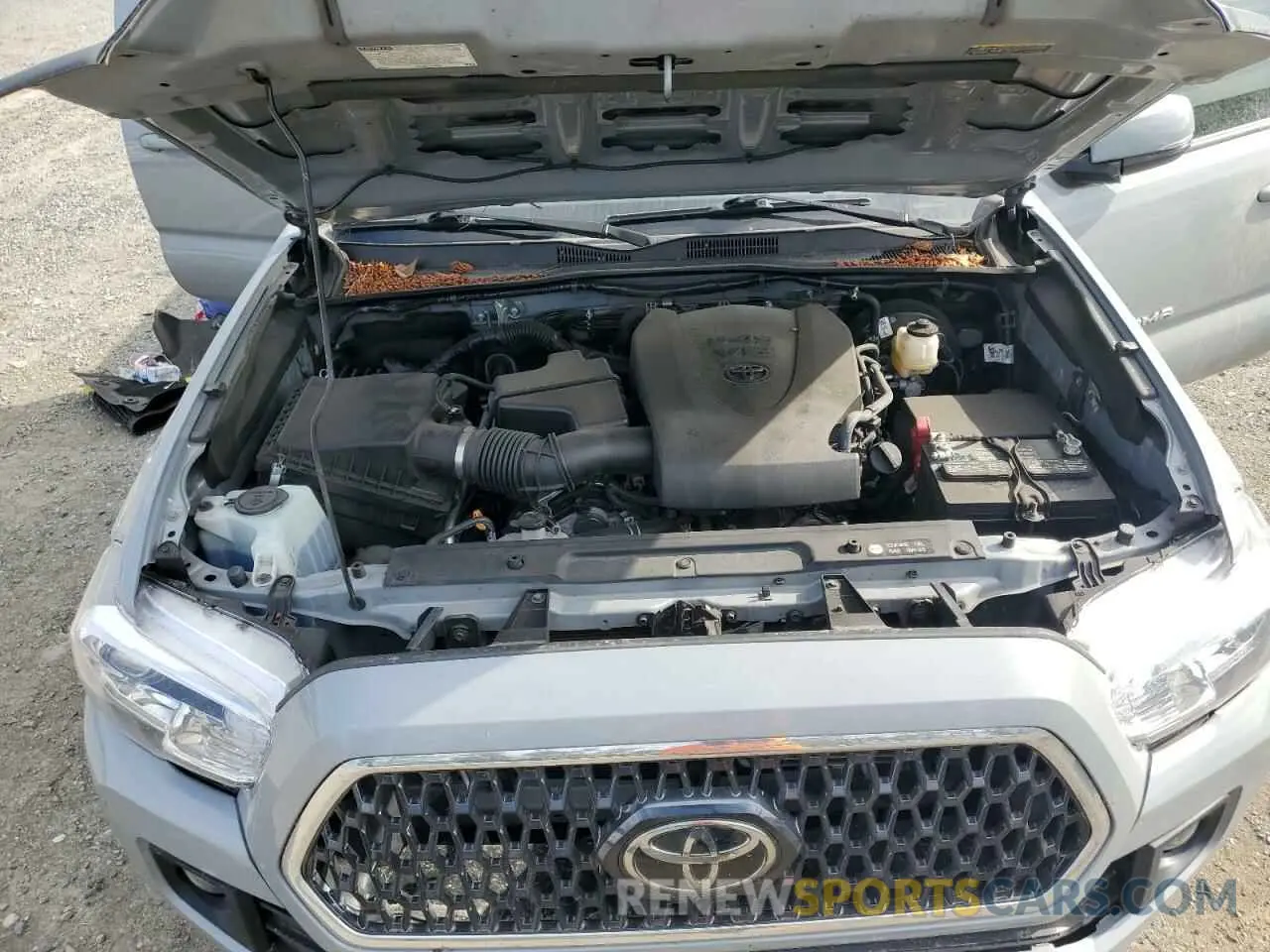 11 fotografías del automóvil dañado 3TMCZ5AN5KM269492 TOYOTA TACOMA 2019