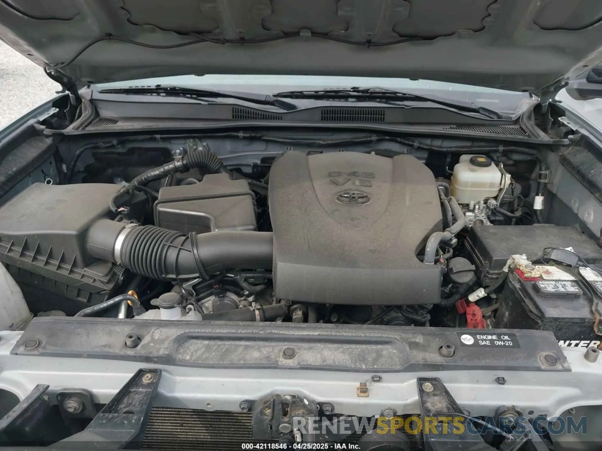 10 fotografías del automóvil dañado 3TMCZ5AN5KM271274 TOYOTA TACOMA 2019