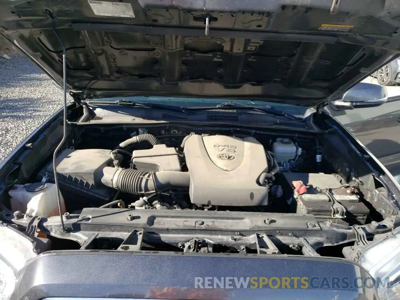 12 fotografías del automóvil dañado 3TMCZ5AN5KM287975 TOYOTA TACOMA 2019