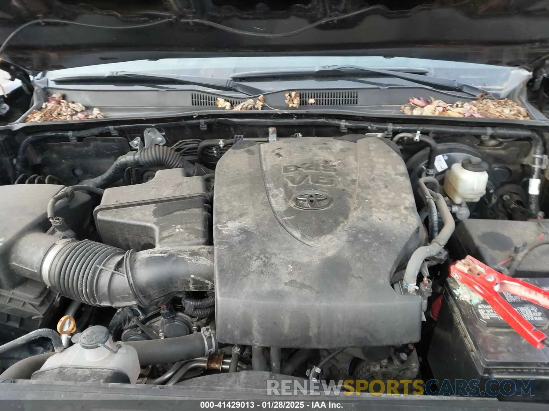 10 fotografías del automóvil dañado 3TMCZ5AN6KM199663 TOYOTA TACOMA 2019