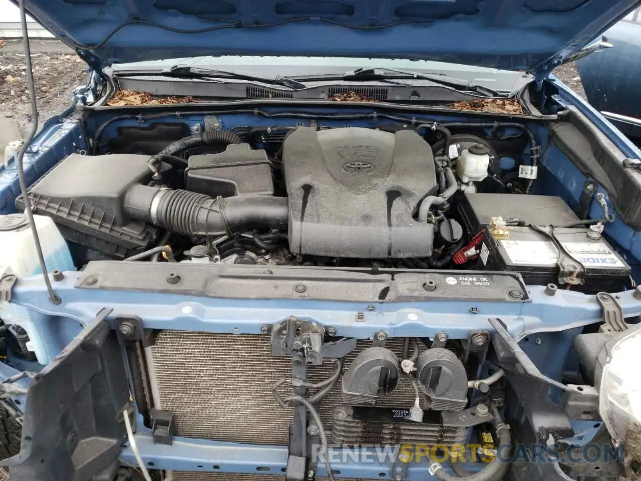 11 fotografías del automóvil dañado 3TMCZ5AN6KM216543 TOYOTA TACOMA 2019