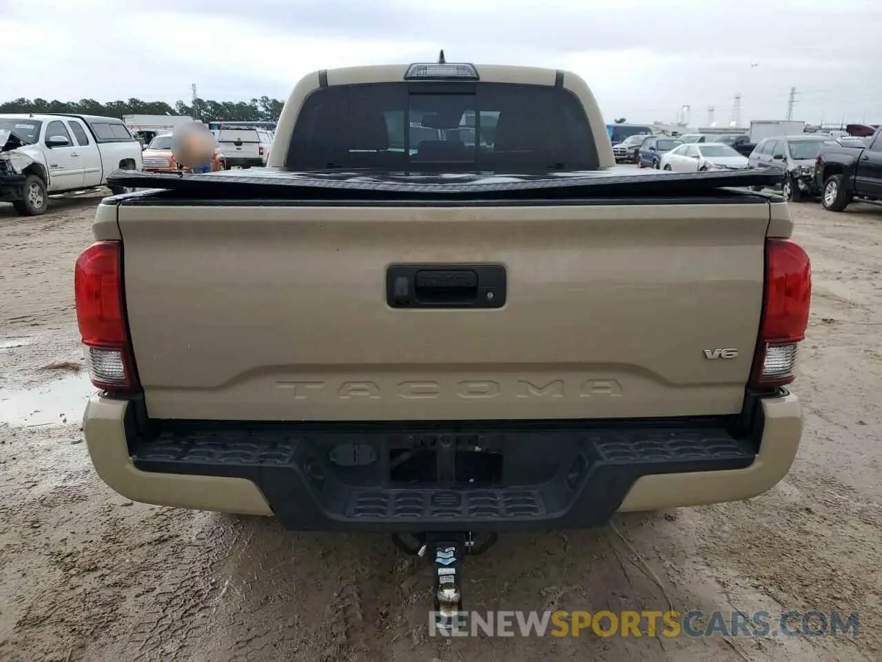 6 fotografías del automóvil dañado 3TMCZ5AN6KM217661 TOYOTA TACOMA 2019
