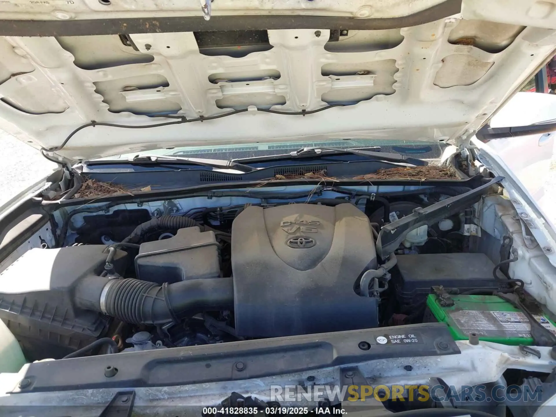 10 fotografías del automóvil dañado 3TMCZ5AN6KM229597 TOYOTA TACOMA 2019