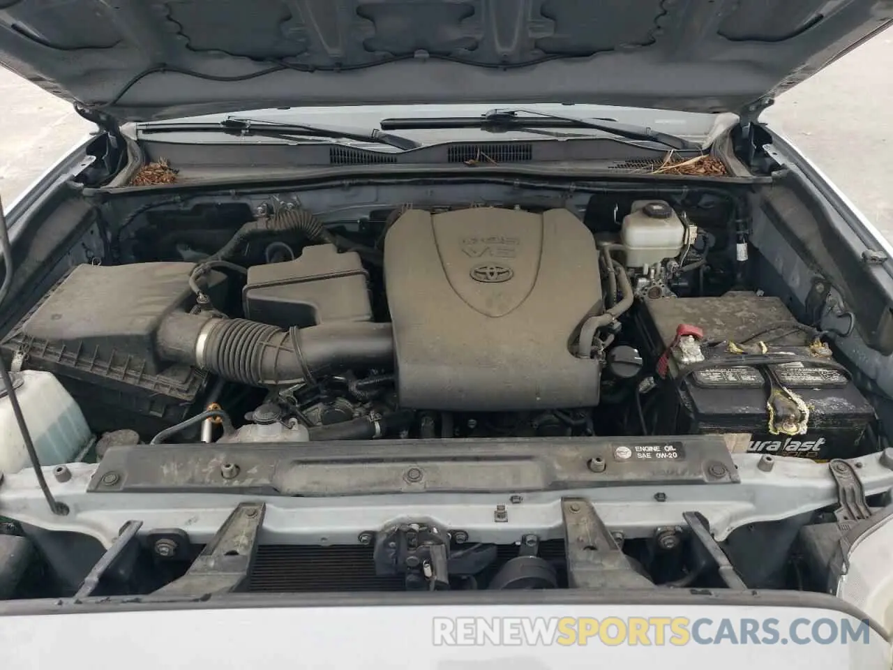11 fotografías del automóvil dañado 3TMCZ5AN6KM237411 TOYOTA TACOMA 2019