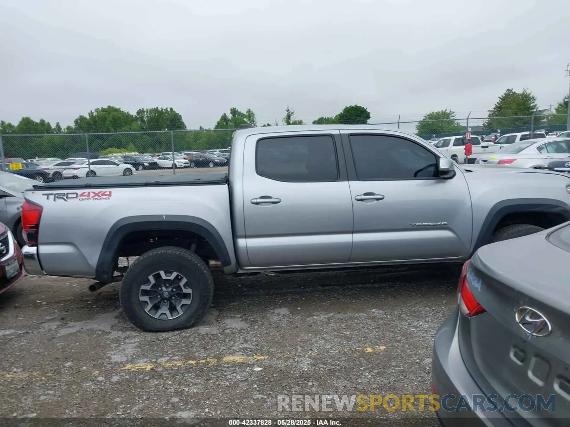 13 fotografías del automóvil dañado 3TMCZ5AN6KM239871 TOYOTA TACOMA 2019