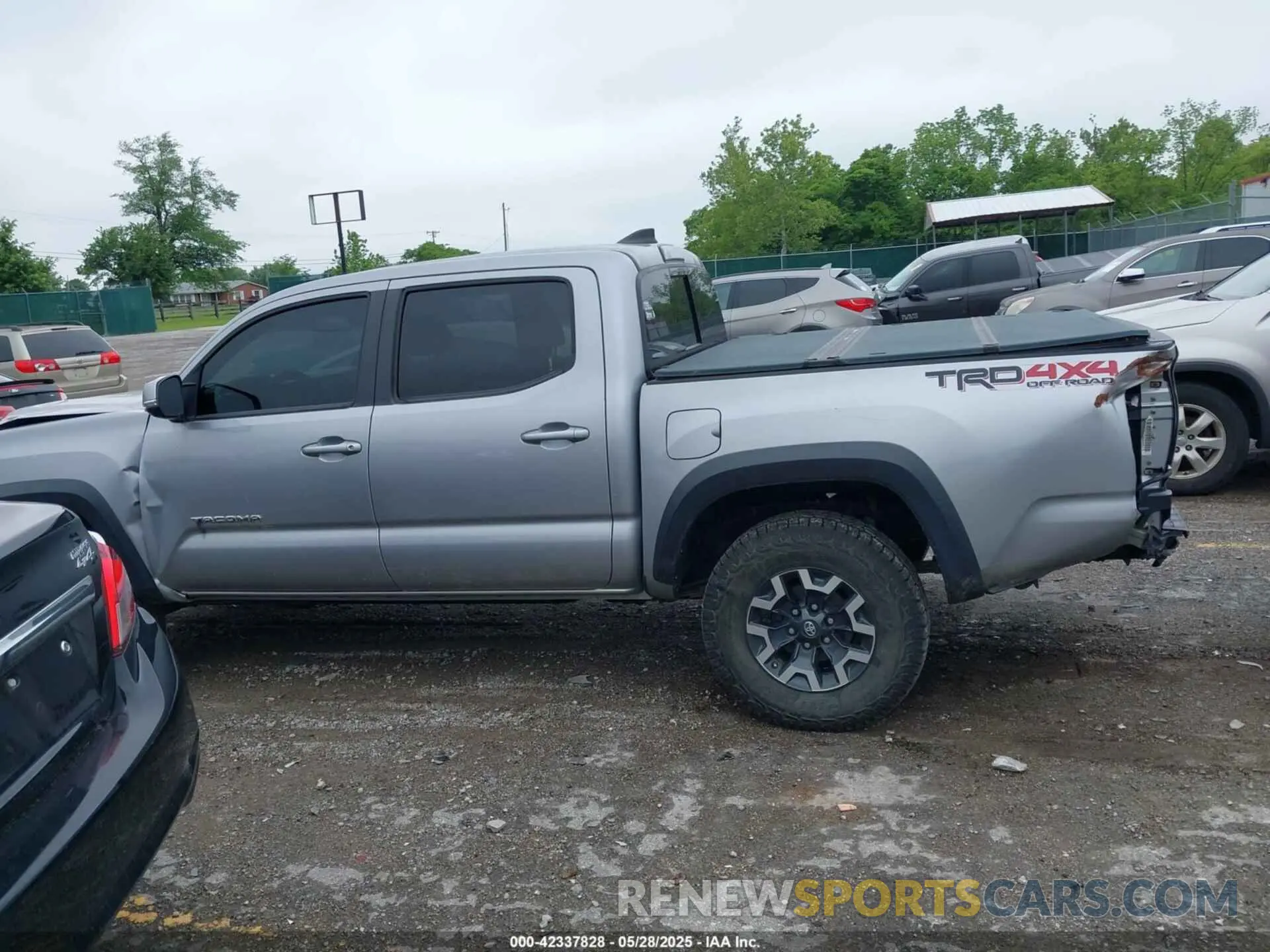 14 fotografías del automóvil dañado 3TMCZ5AN6KM239871 TOYOTA TACOMA 2019