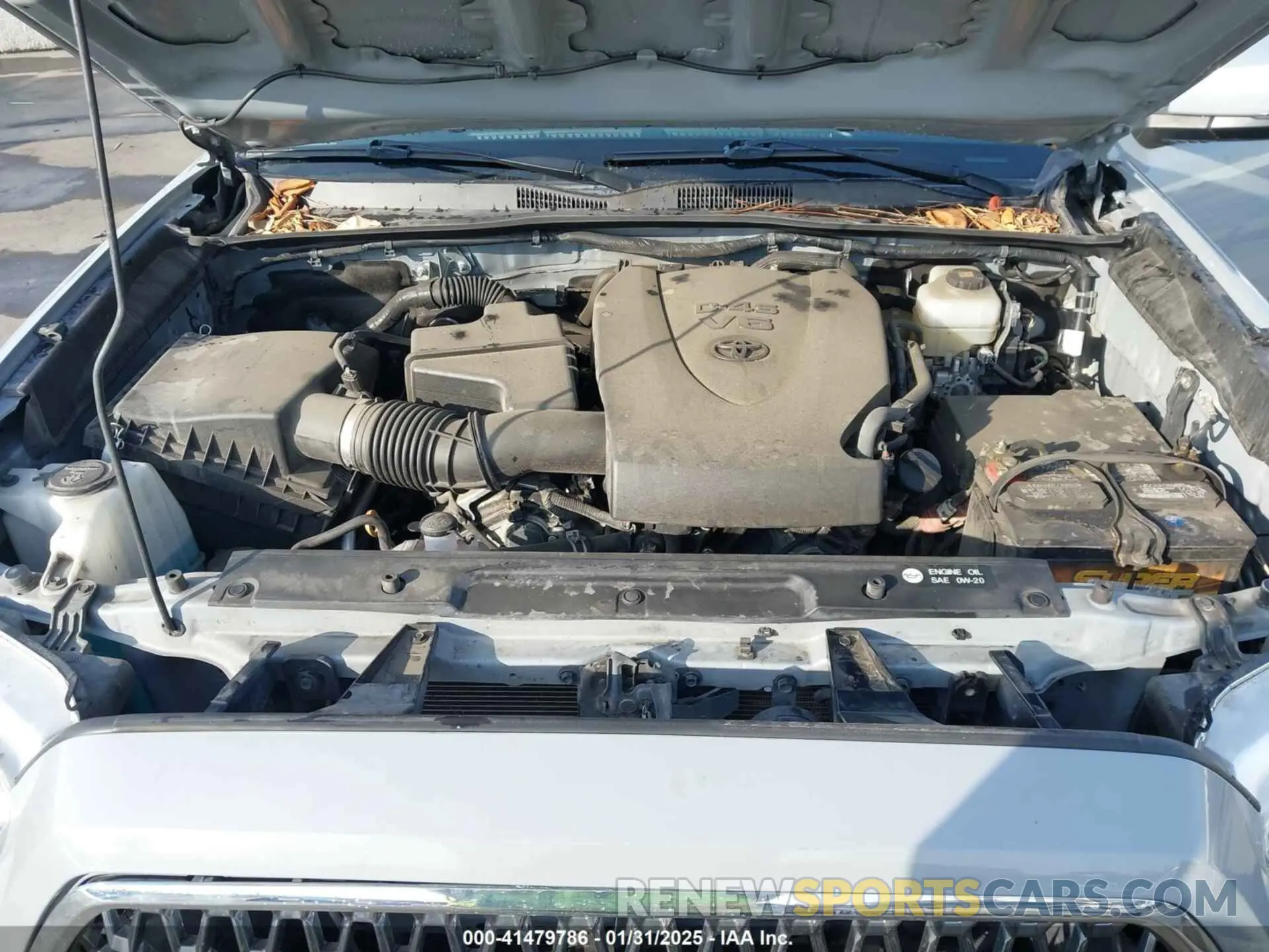 10 fotografías del automóvil dañado 3TMCZ5AN6KM250062 TOYOTA TACOMA 2019