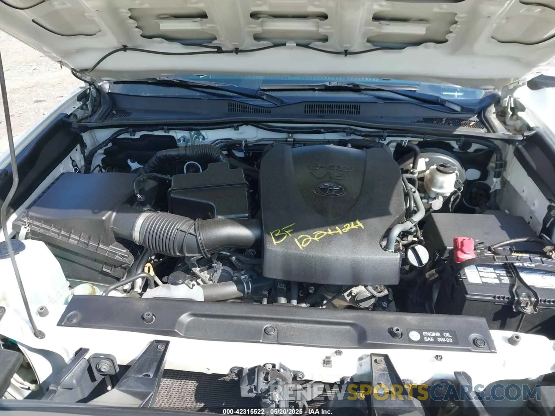 10 fotografías del automóvil dañado 3TMCZ5AN6KM253480 TOYOTA TACOMA 2019