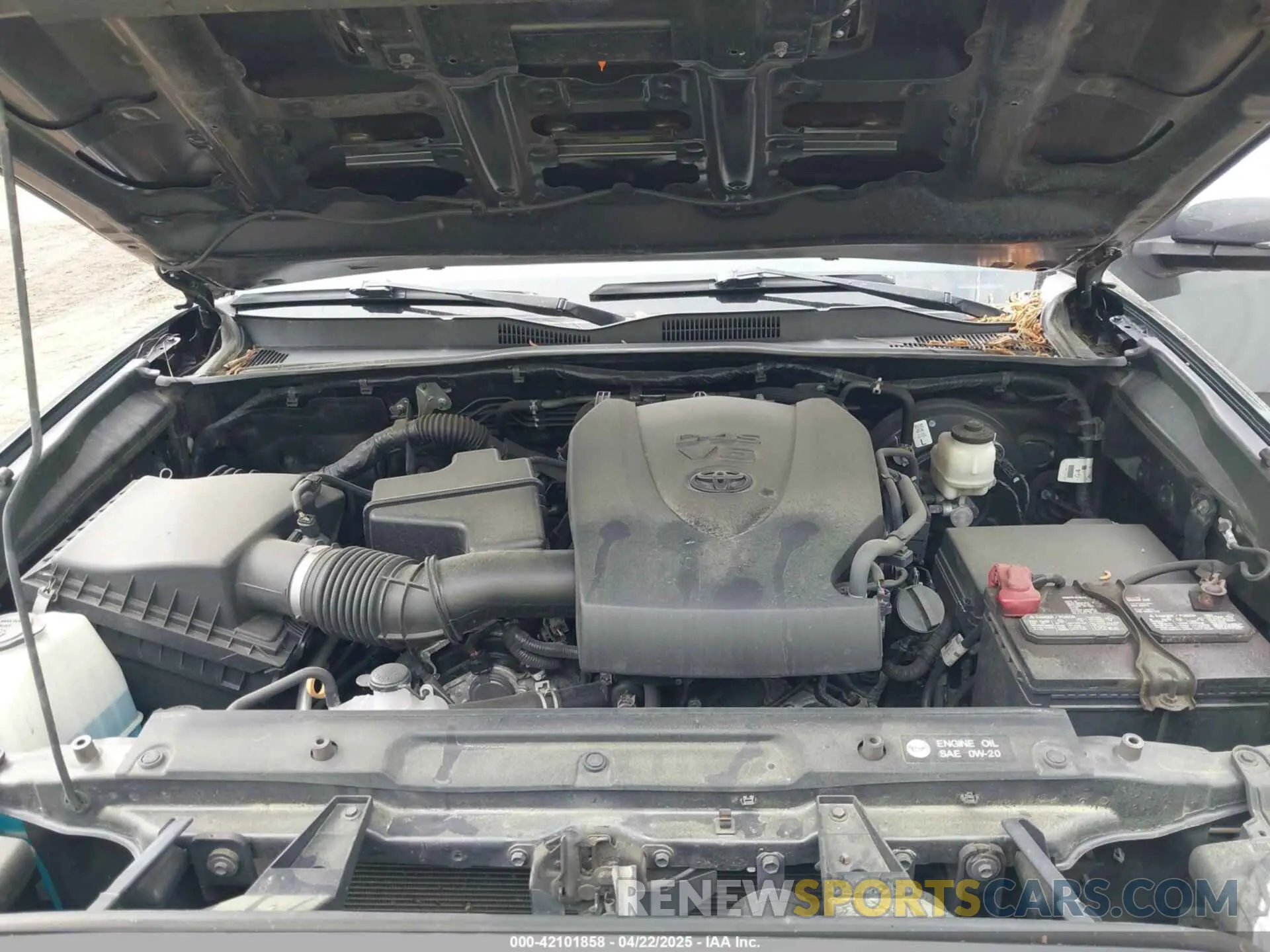 10 fotografías del automóvil dañado 3TMCZ5AN7KM198876 TOYOTA TACOMA 2019