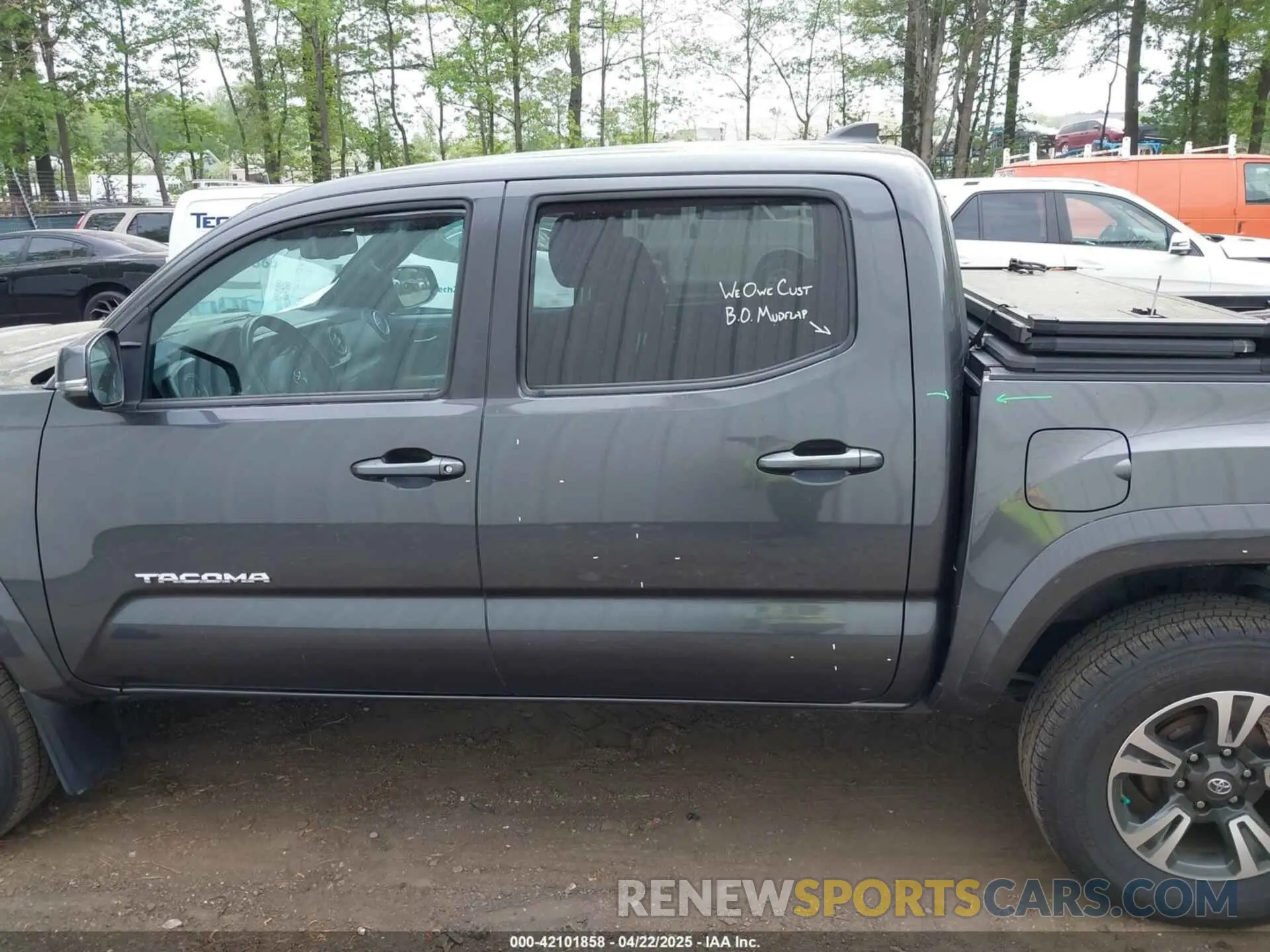 14 fotografías del automóvil dañado 3TMCZ5AN7KM198876 TOYOTA TACOMA 2019