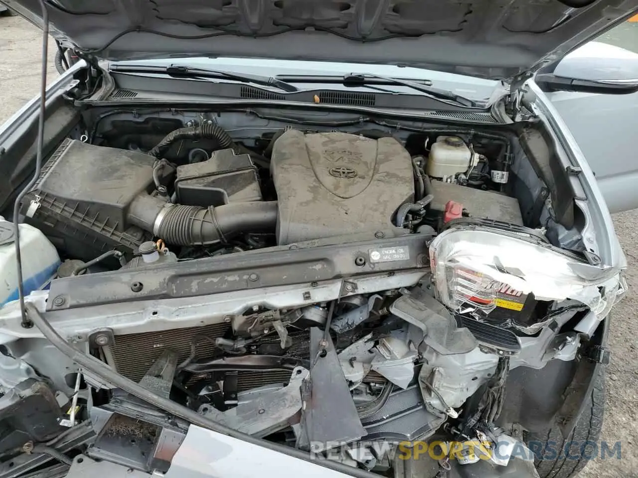 13 fotografías del automóvil dañado 3TMCZ5AN7KM224599 TOYOTA TACOMA 2019