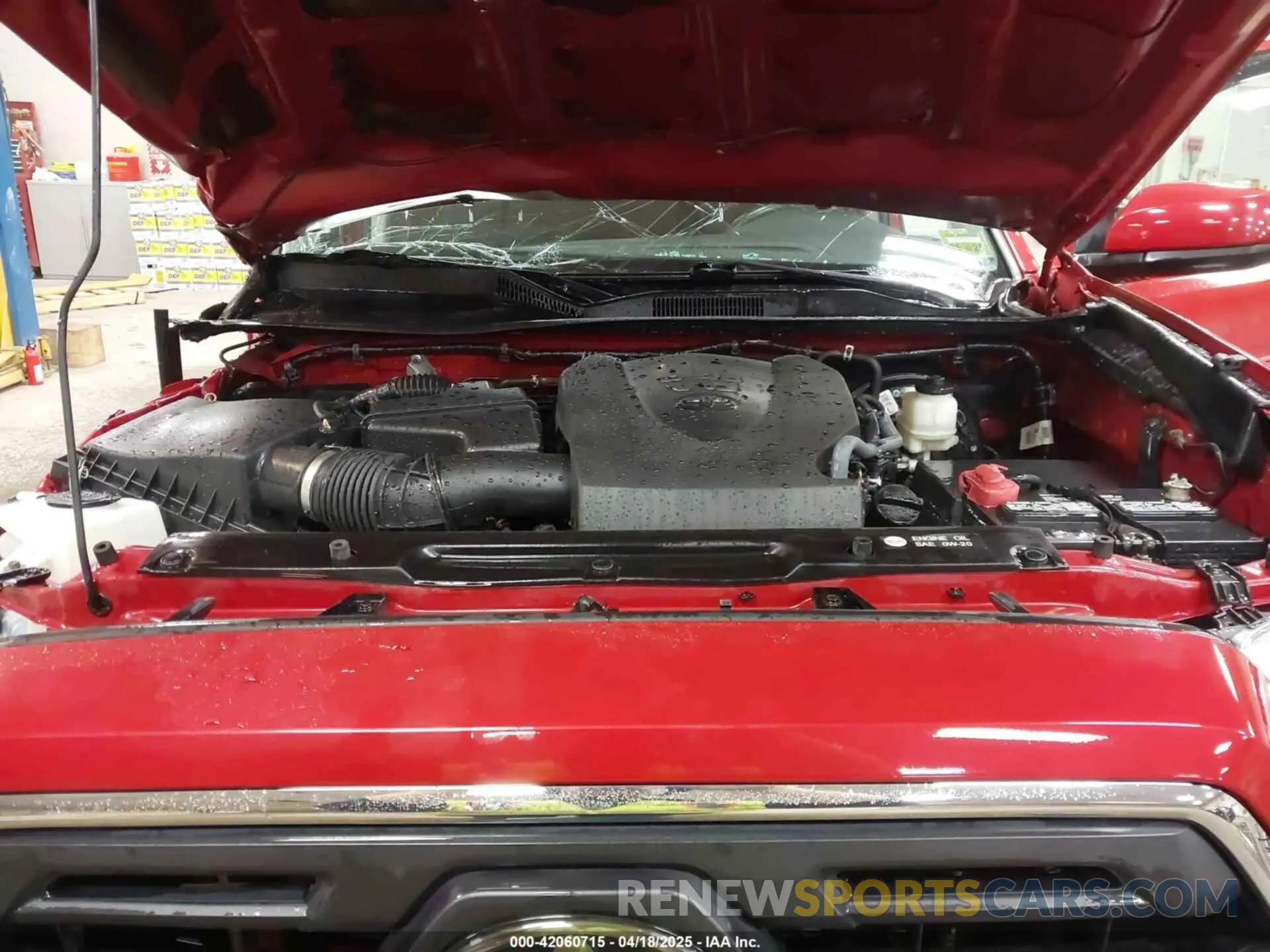 10 fotografías del automóvil dañado 3TMCZ5AN7KM232265 TOYOTA TACOMA 2019