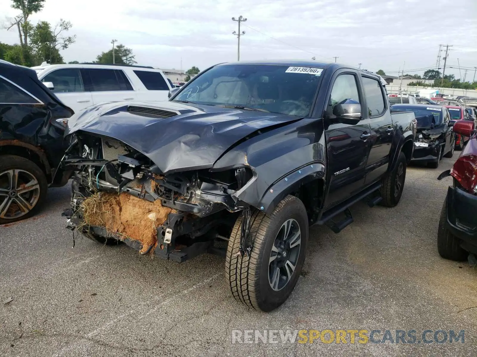 2 fotografías del automóvil dañado 3TMCZ5AN7KM279926 TOYOTA TACOMA 2019