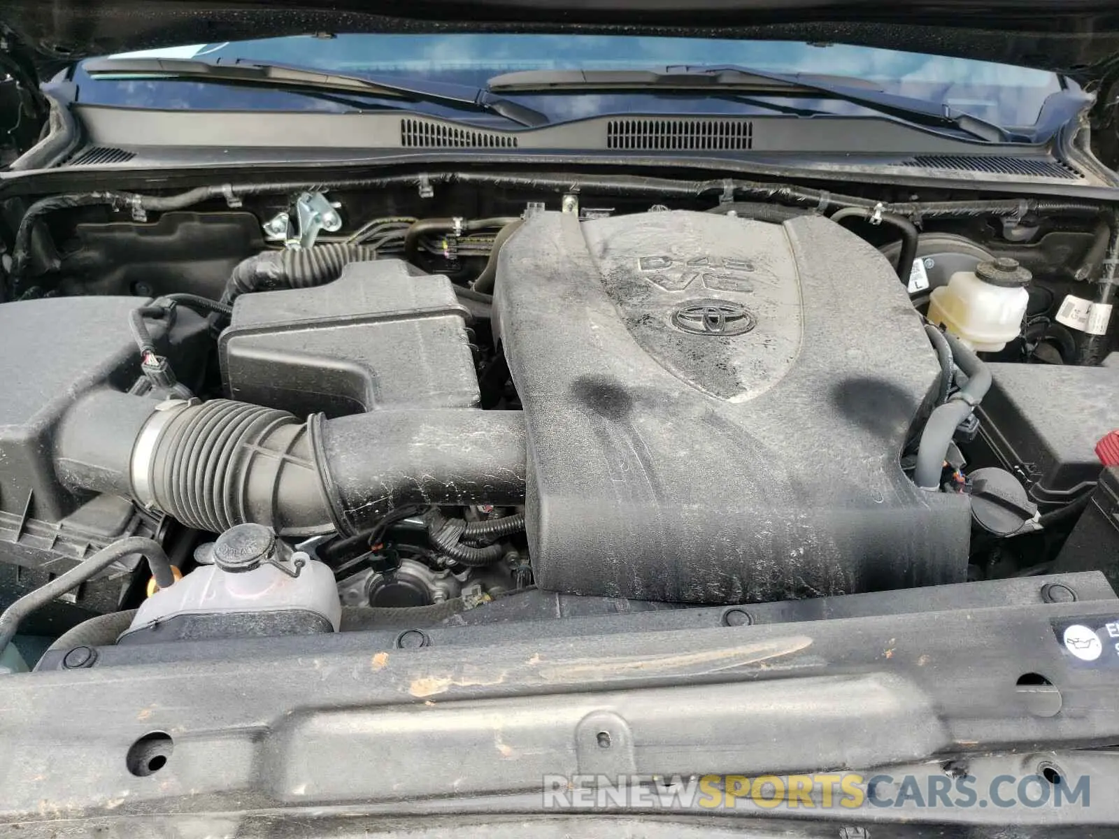 7 fotografías del automóvil dañado 3TMCZ5AN7KM279926 TOYOTA TACOMA 2019
