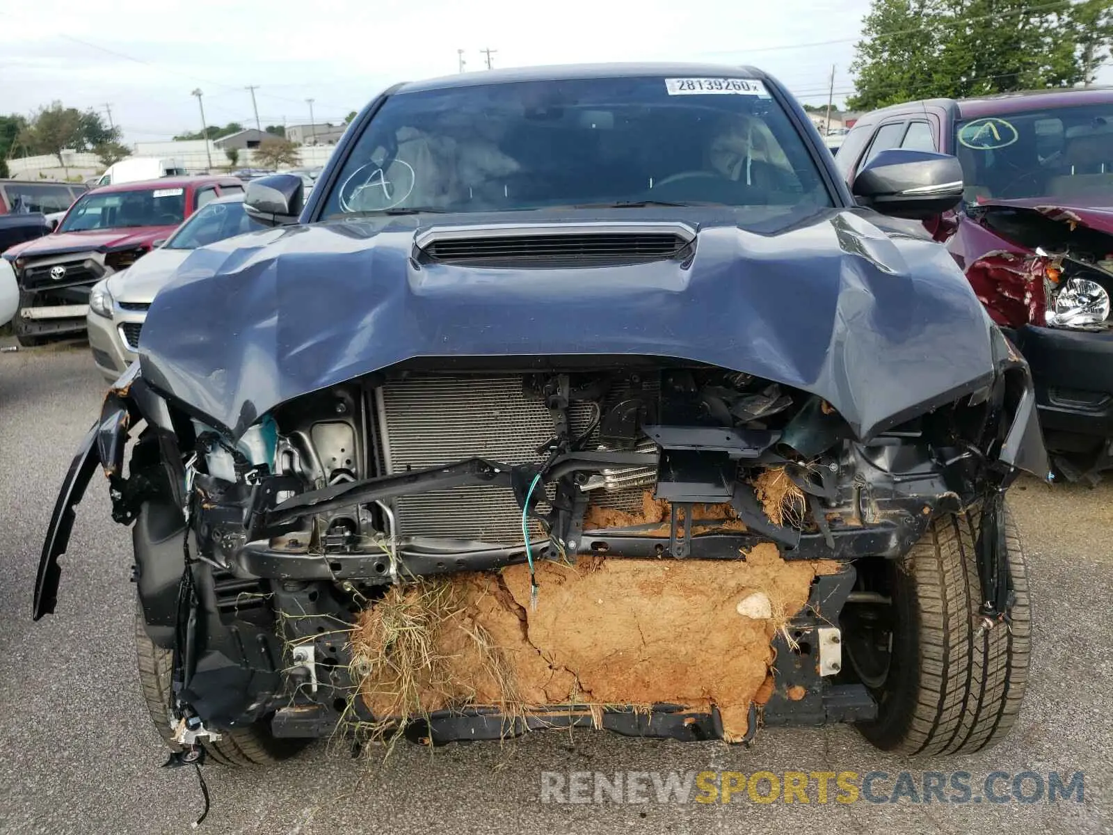 9 fotografías del automóvil dañado 3TMCZ5AN7KM279926 TOYOTA TACOMA 2019