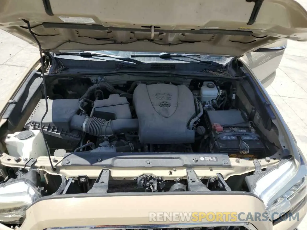 11 fotografías del automóvil dañado 3TMCZ5AN8KM190687 TOYOTA TACOMA 2019