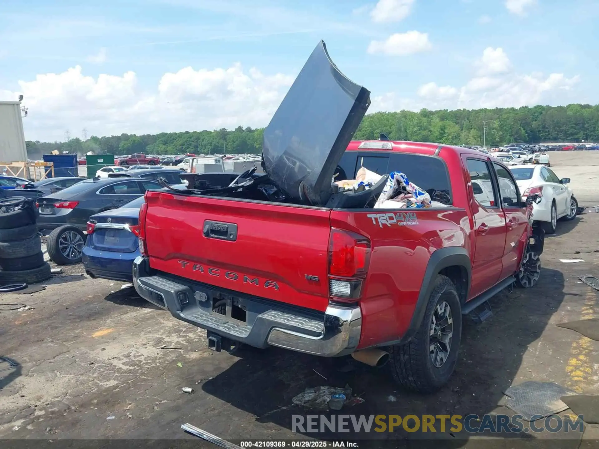 4 fotografías del automóvil dañado 3TMCZ5AN8KM198613 TOYOTA TACOMA 2019