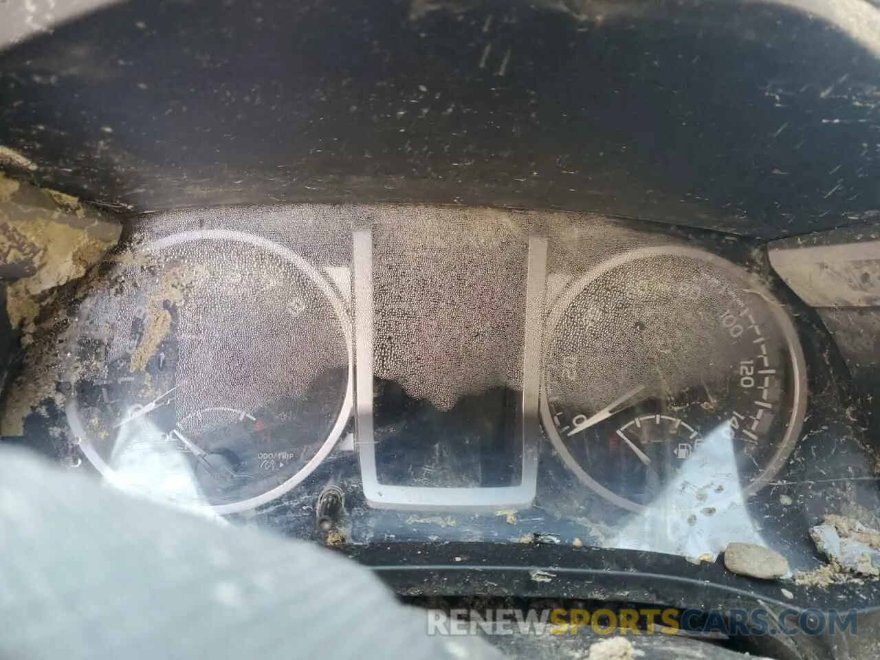 9 fotografías del automóvil dañado 3TMCZ5AN8KM245526 TOYOTA TACOMA 2019