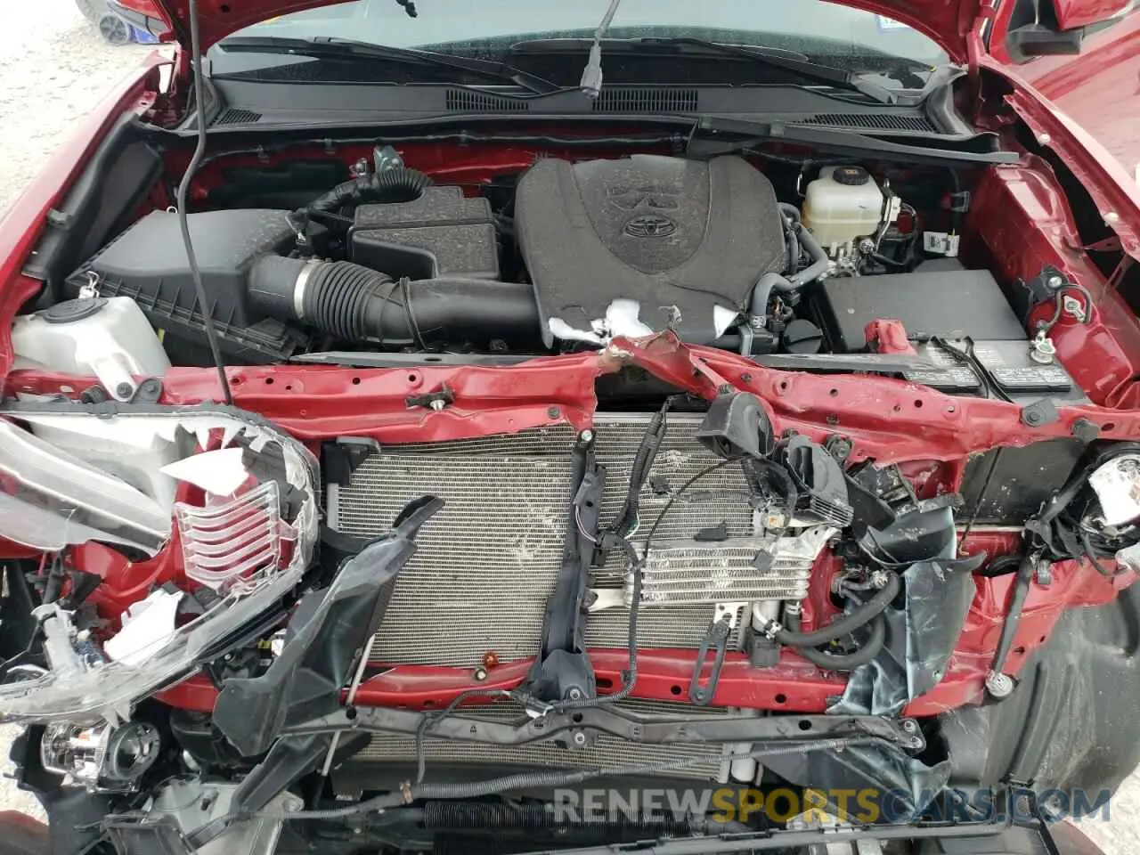 7 fotografías del automóvil dañado 3TMCZ5AN8KM266750 TOYOTA TACOMA 2019