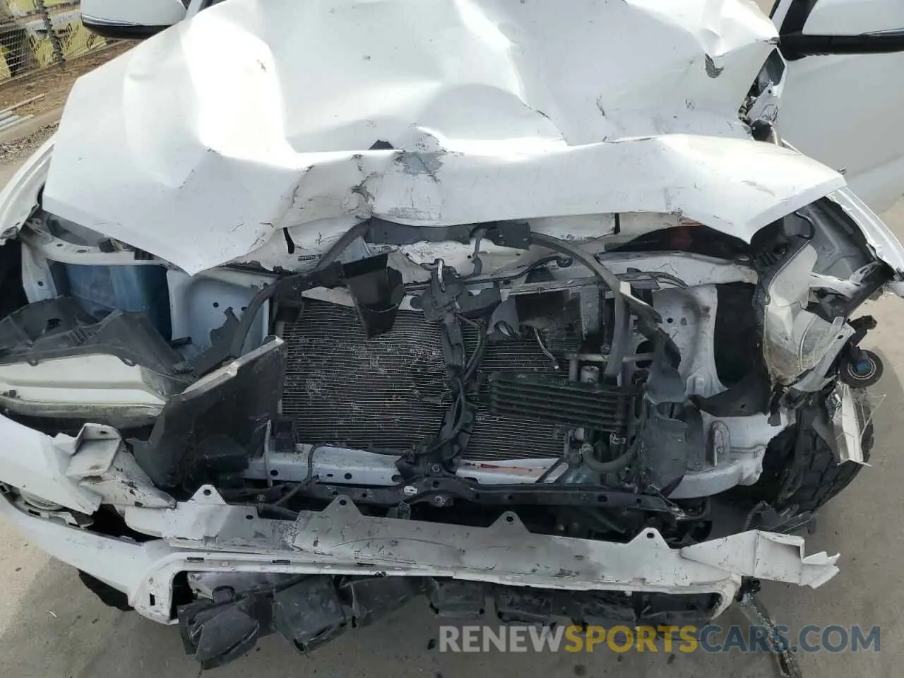 11 fotografías del automóvil dañado 3TMCZ5AN9KM203267 TOYOTA TACOMA 2019