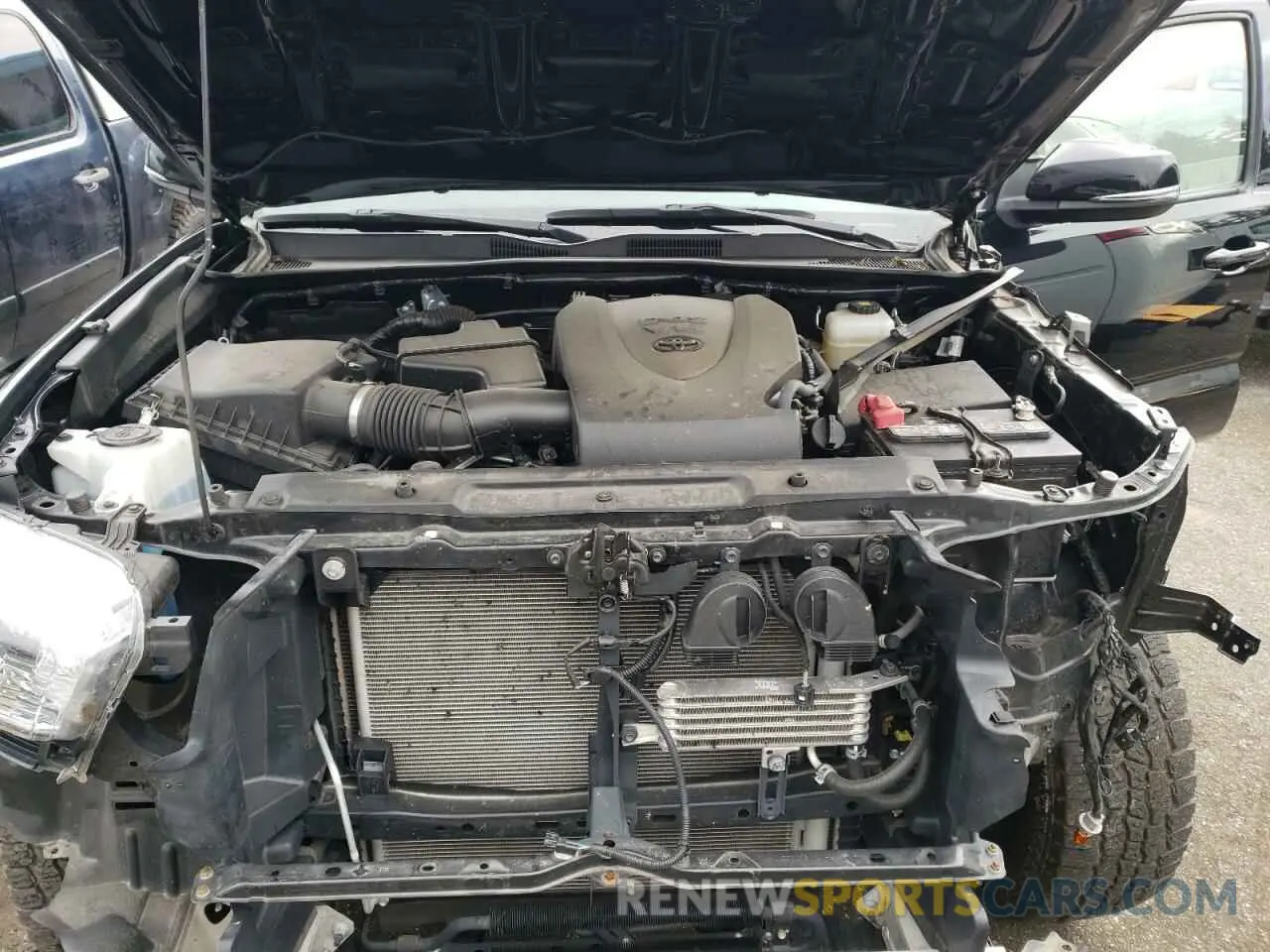 11 fotografías del automóvil dañado 3TMCZ5AN9KM262092 TOYOTA TACOMA 2019