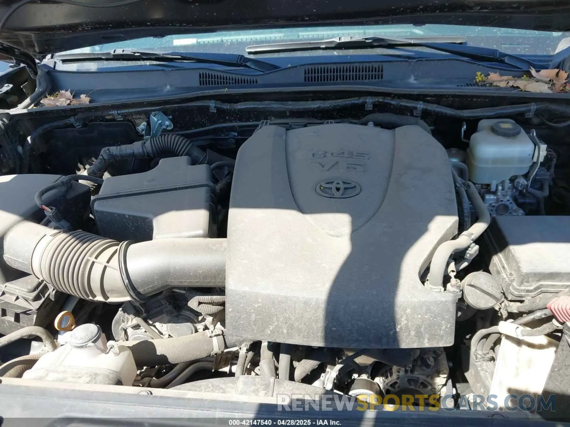 10 fotografías del automóvil dañado 3TMCZ5ANXKM191842 TOYOTA TACOMA 2019