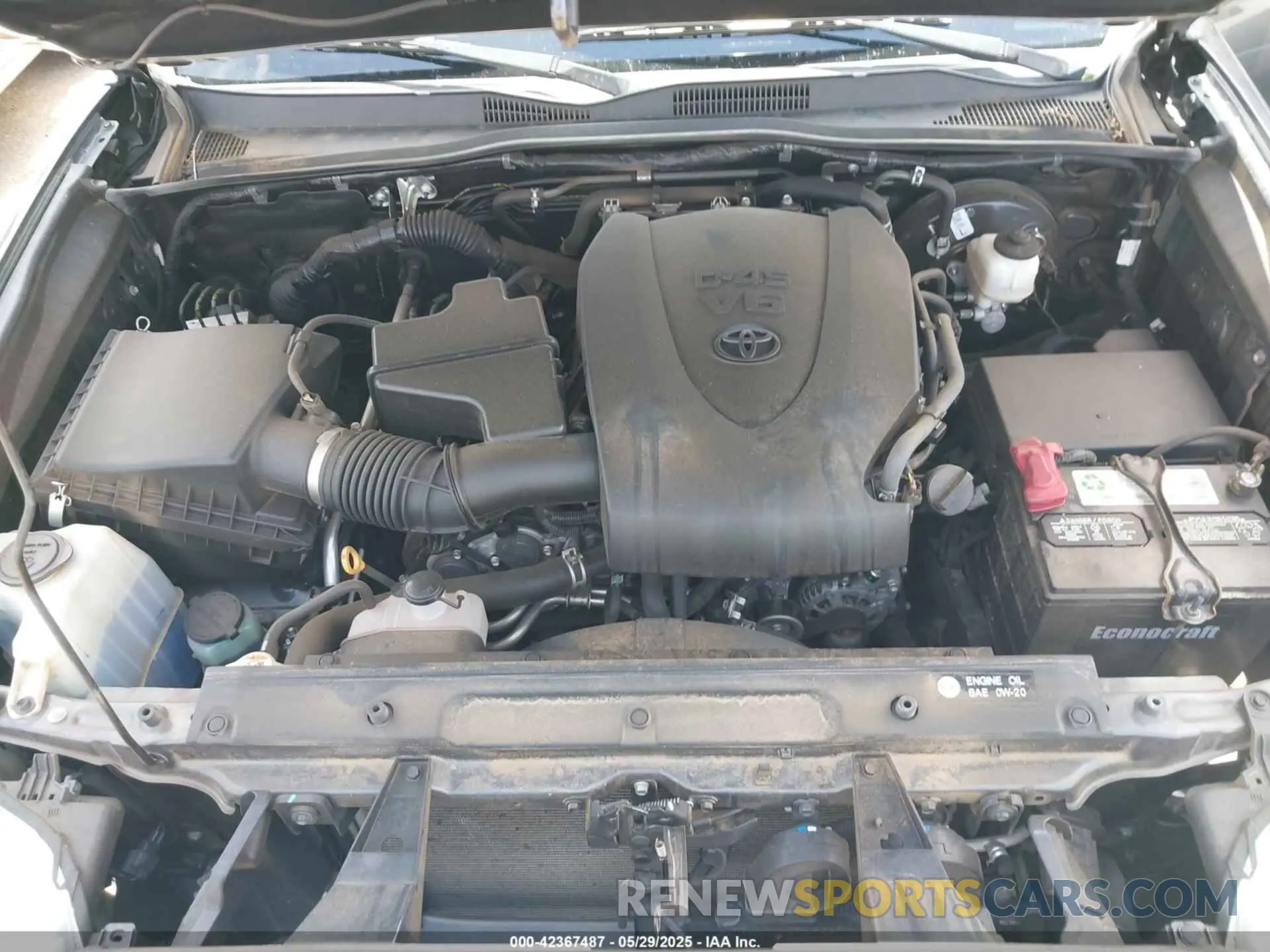10 fotografías del automóvil dañado 3TMCZ5ANXKM251084 TOYOTA TACOMA 2019