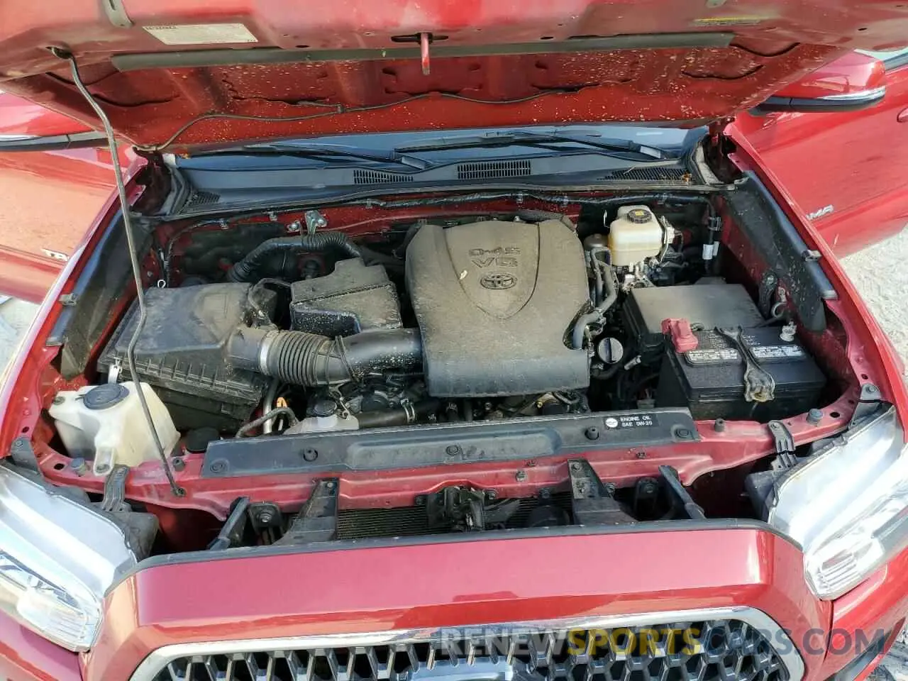 7 fotografías del automóvil dañado 3TMCZ5ANXKM251800 TOYOTA TACOMA 2019