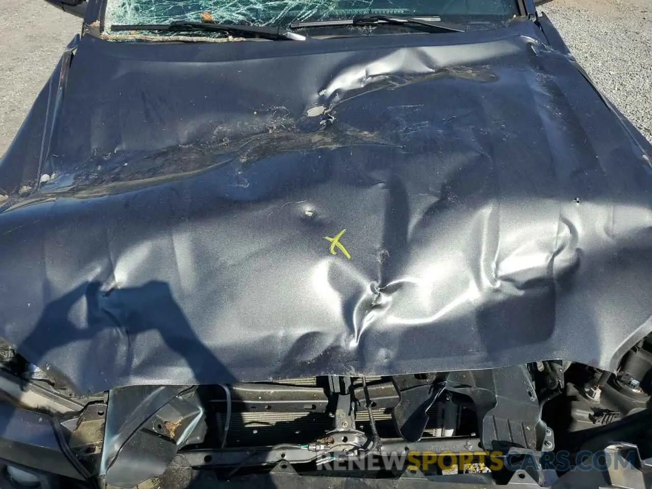 11 fotografías del automóvil dañado 3TMDZ5BN6KM069904 TOYOTA TACOMA 2019