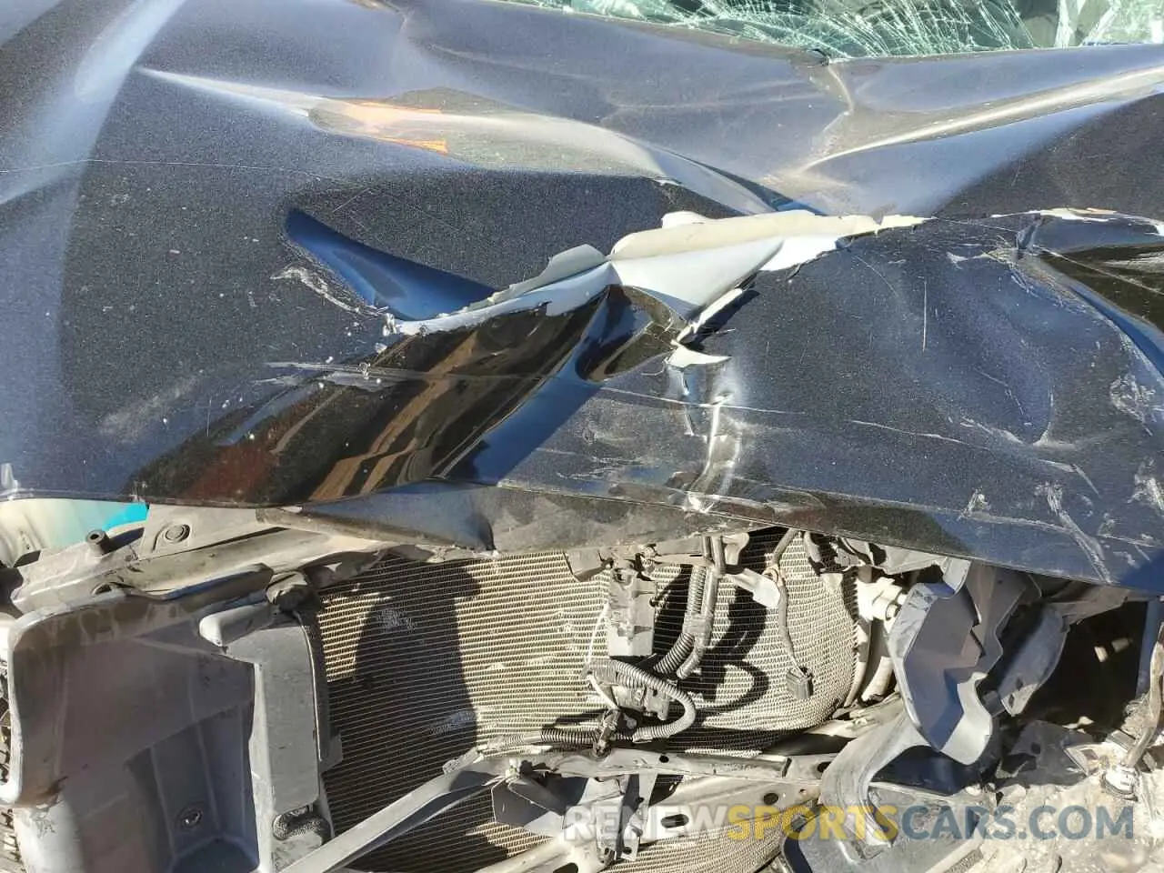 11 fotografías del automóvil dañado 5TFAX5GN6KX140286 TOYOTA TACOMA 2019