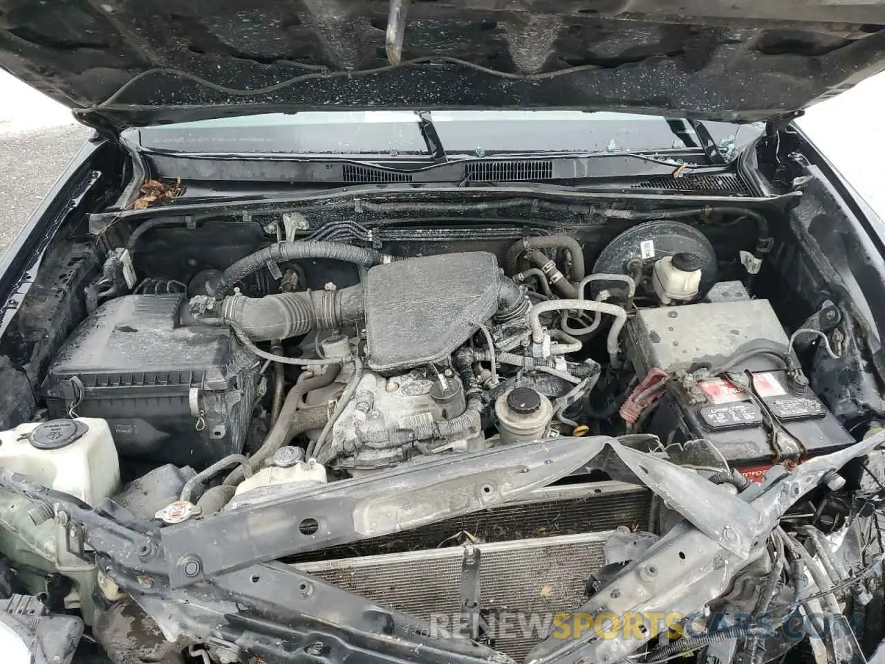 11 fotografías del automóvil dañado 5TFRX5GN1KX135550 TOYOTA TACOMA 2019