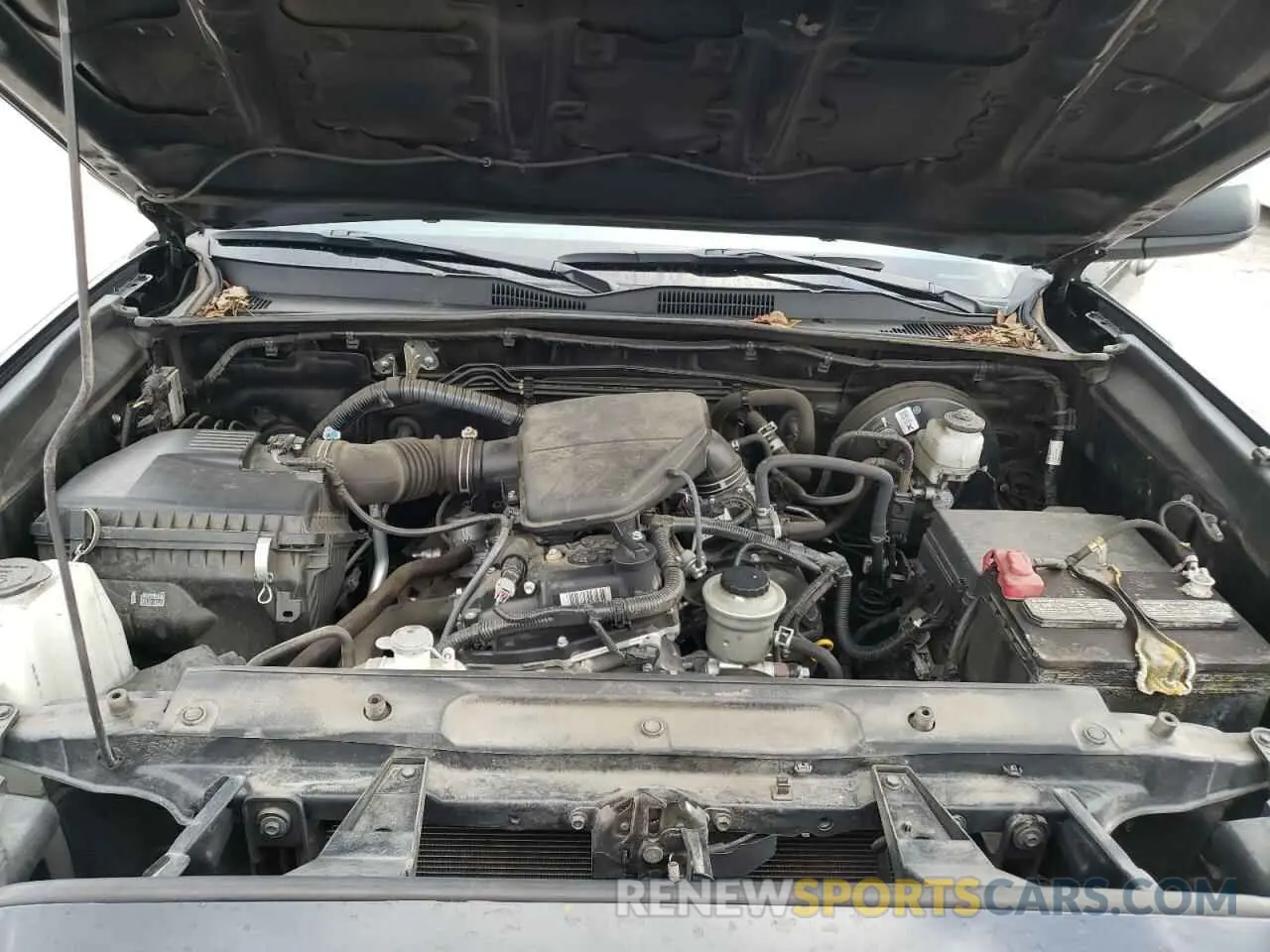 11 fotografías del automóvil dañado 5TFRX5GN6KX160086 TOYOTA TACOMA 2019