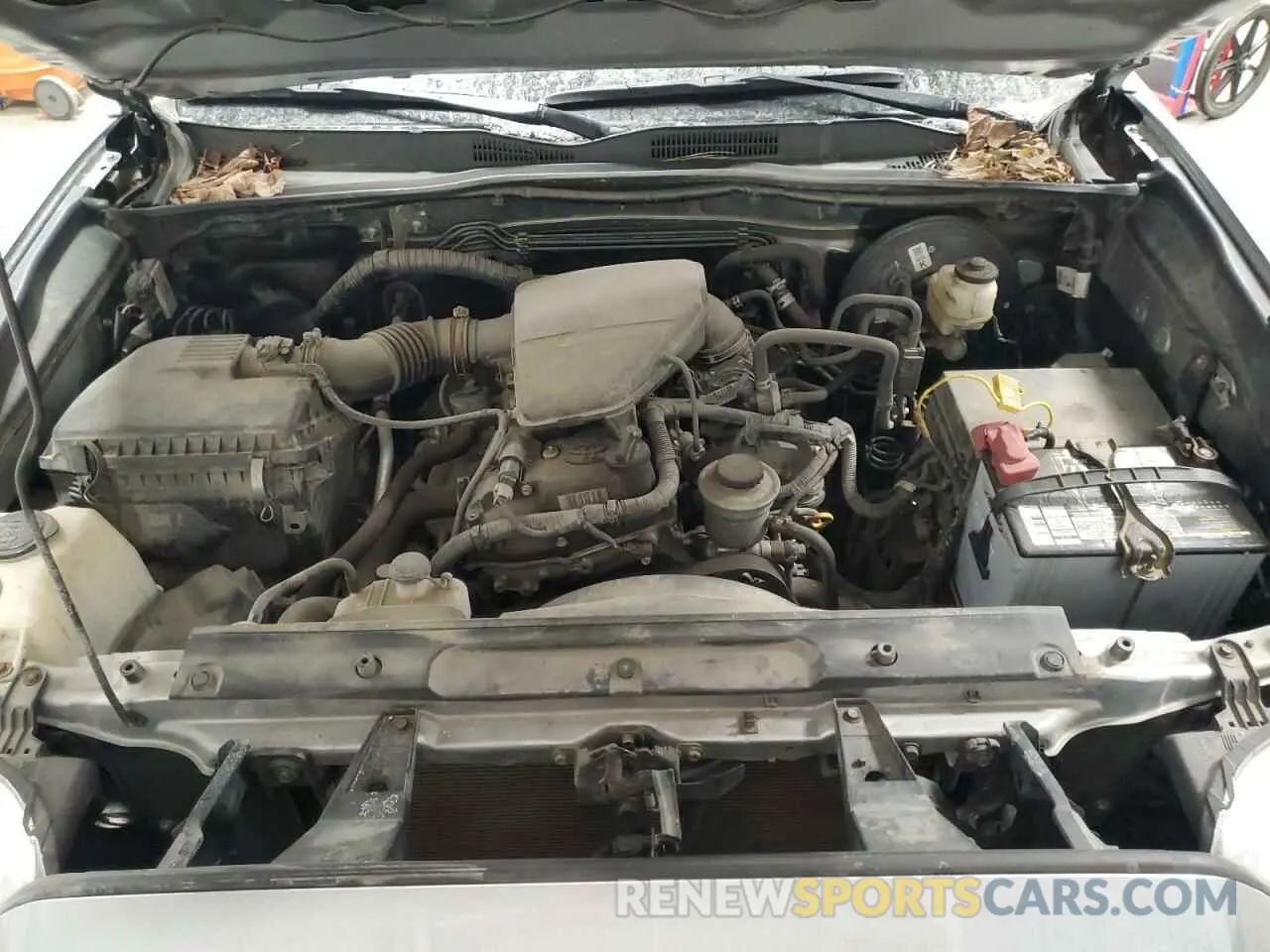 11 fotografías del automóvil dañado 5TFSX5EN5KX066804 TOYOTA TACOMA 2019