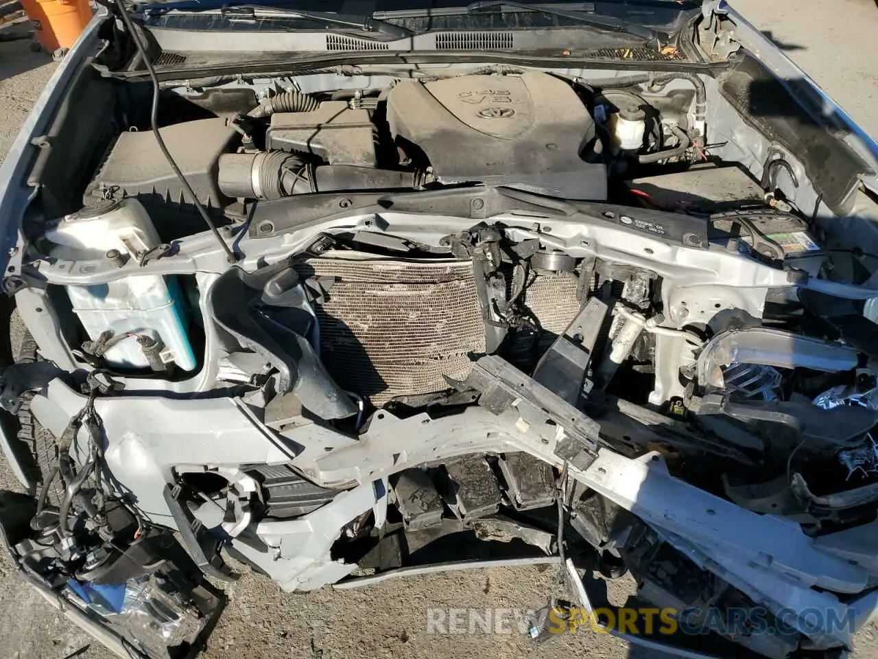 11 fotografías del automóvil dañado 5TFSZ5AN1KX182002 TOYOTA TACOMA 2019