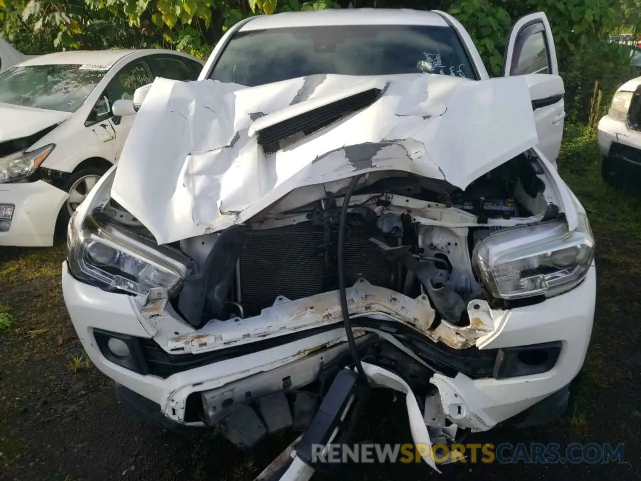 11 fotografías del automóvil dañado 5TFSZ5AN5KX187770 TOYOTA TACOMA 2019