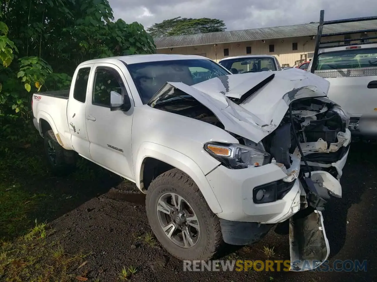 4 fotografías del automóvil dañado 5TFSZ5AN5KX187770 TOYOTA TACOMA 2019