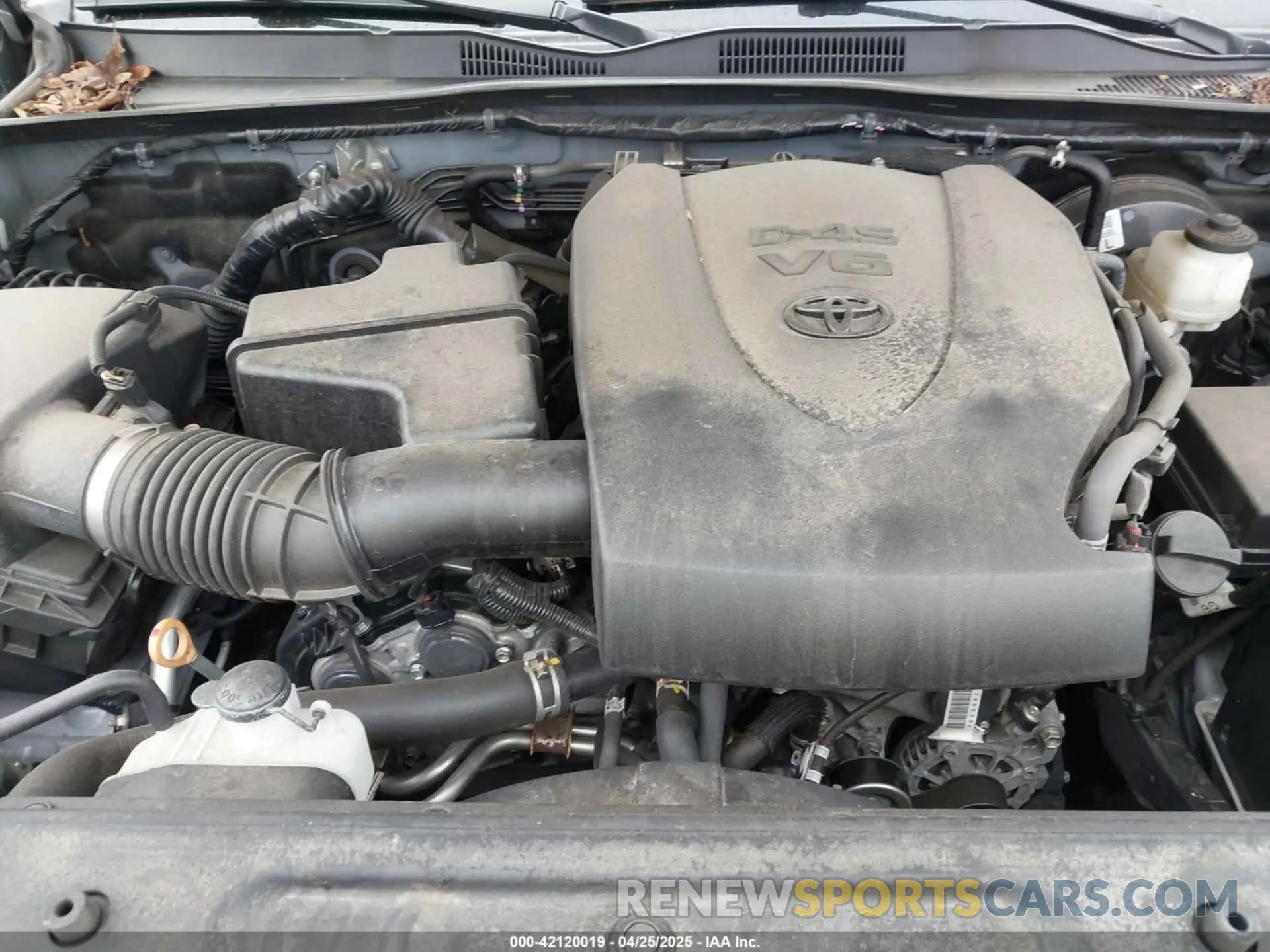 10 fotografías del automóvil dañado 5TFSZ5AN7KX189780 TOYOTA TACOMA 2019