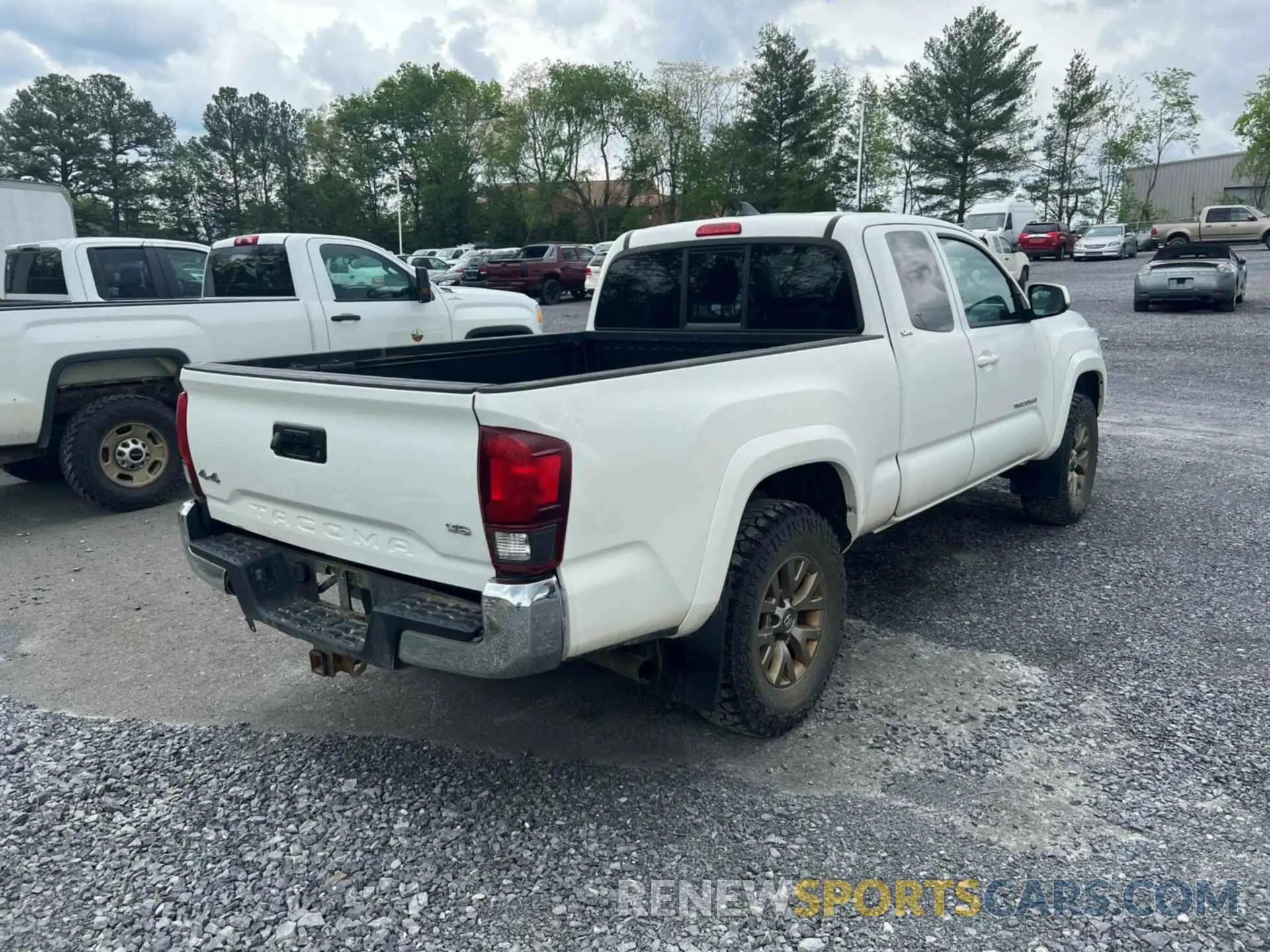 11 fotografías del automóvil dañado 5TFSZ5AN9KX200181 TOYOTA TACOMA 2019