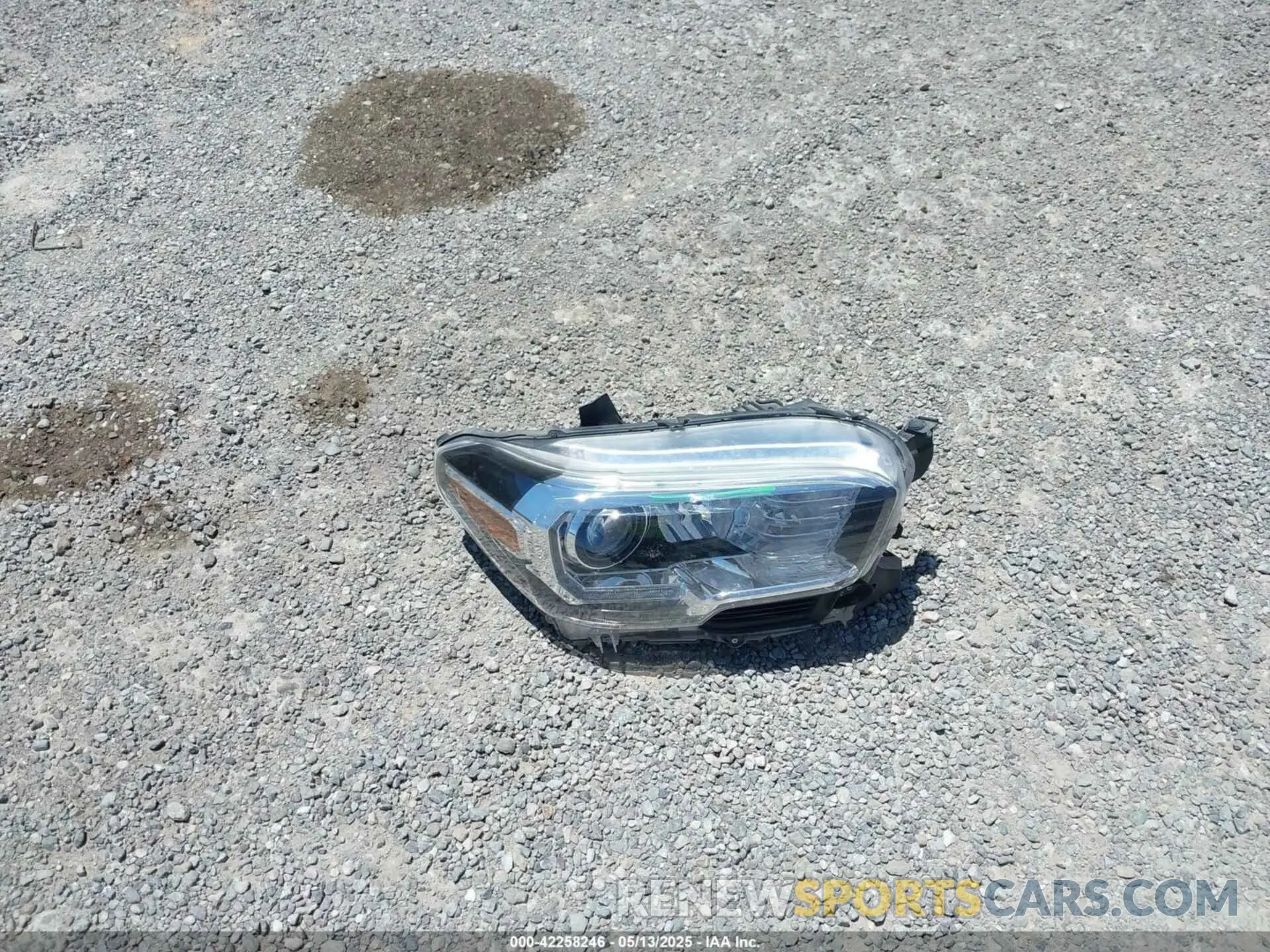 12 fotografías del automóvil dañado 3TMBZ5DN9LM027314 TOYOTA TACOMA 2020