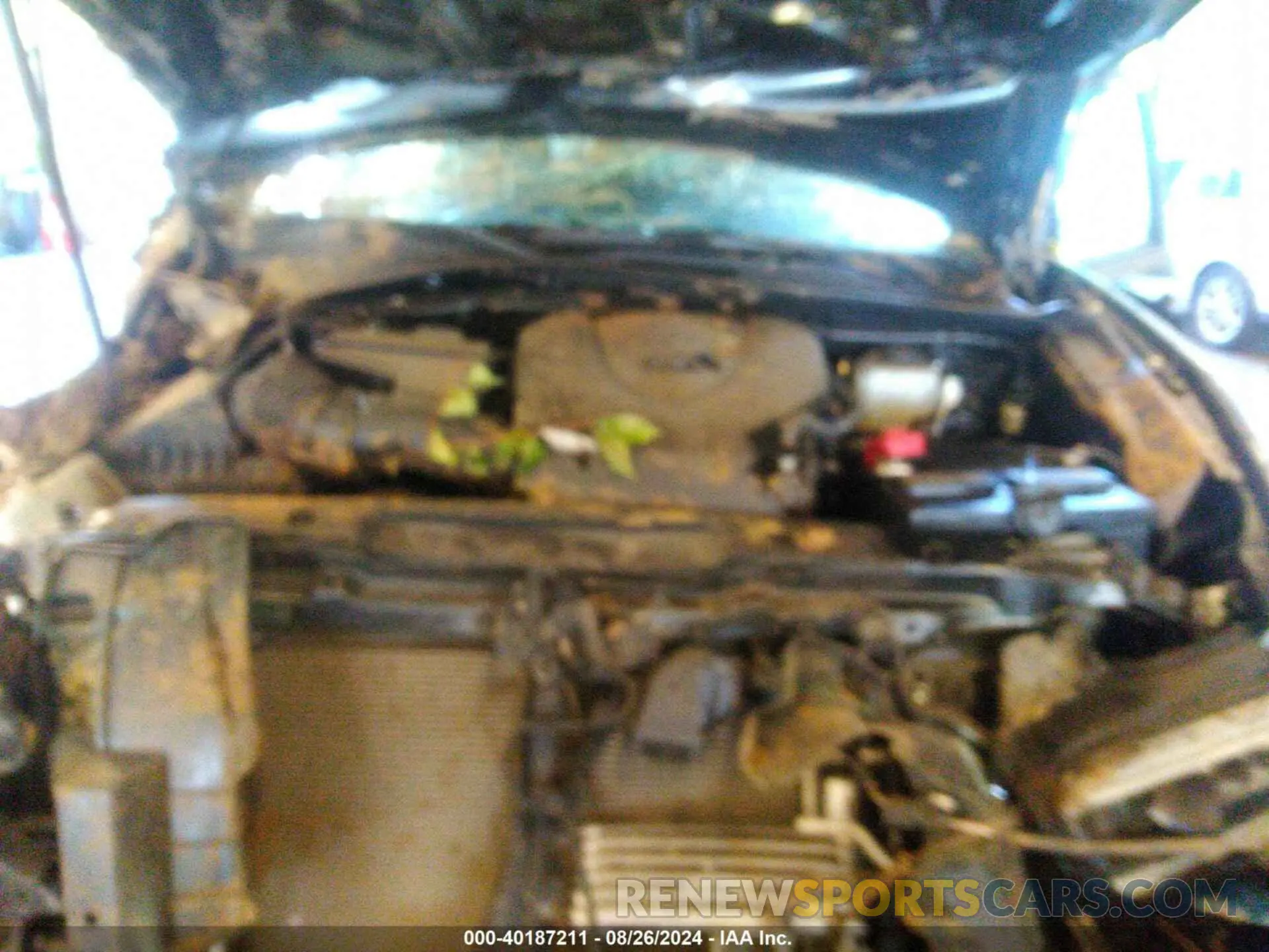 10 fotografías del automóvil dañado 3TMCZ5AN0LM296469 TOYOTA TACOMA 2020