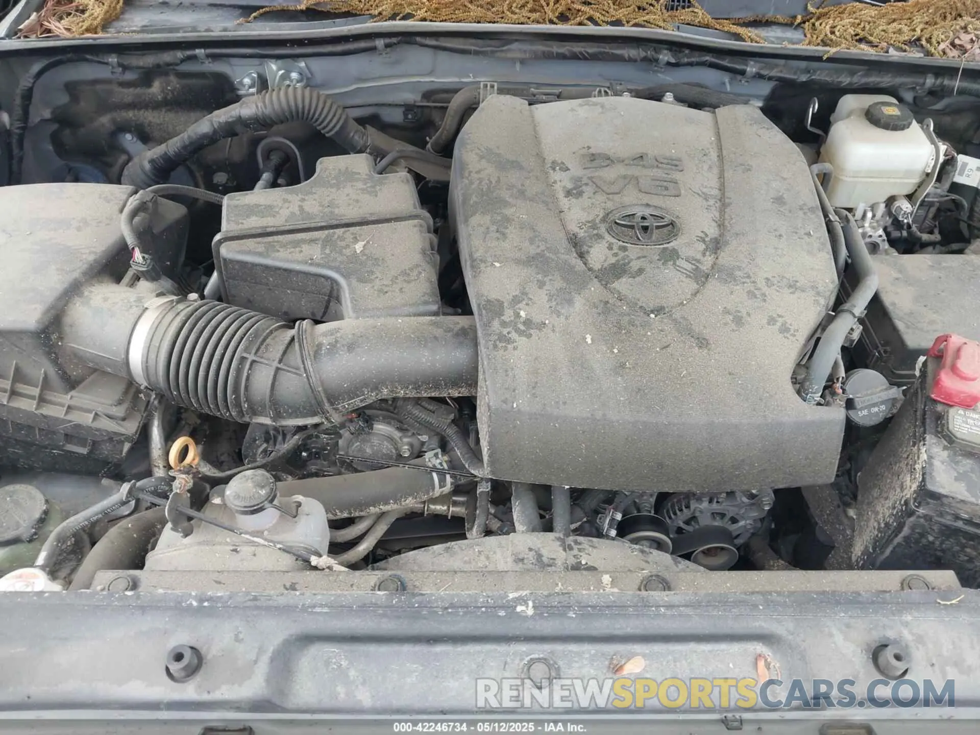 10 fotografías del automóvil dañado 3TMCZ5AN0LM339479 TOYOTA TACOMA 2020