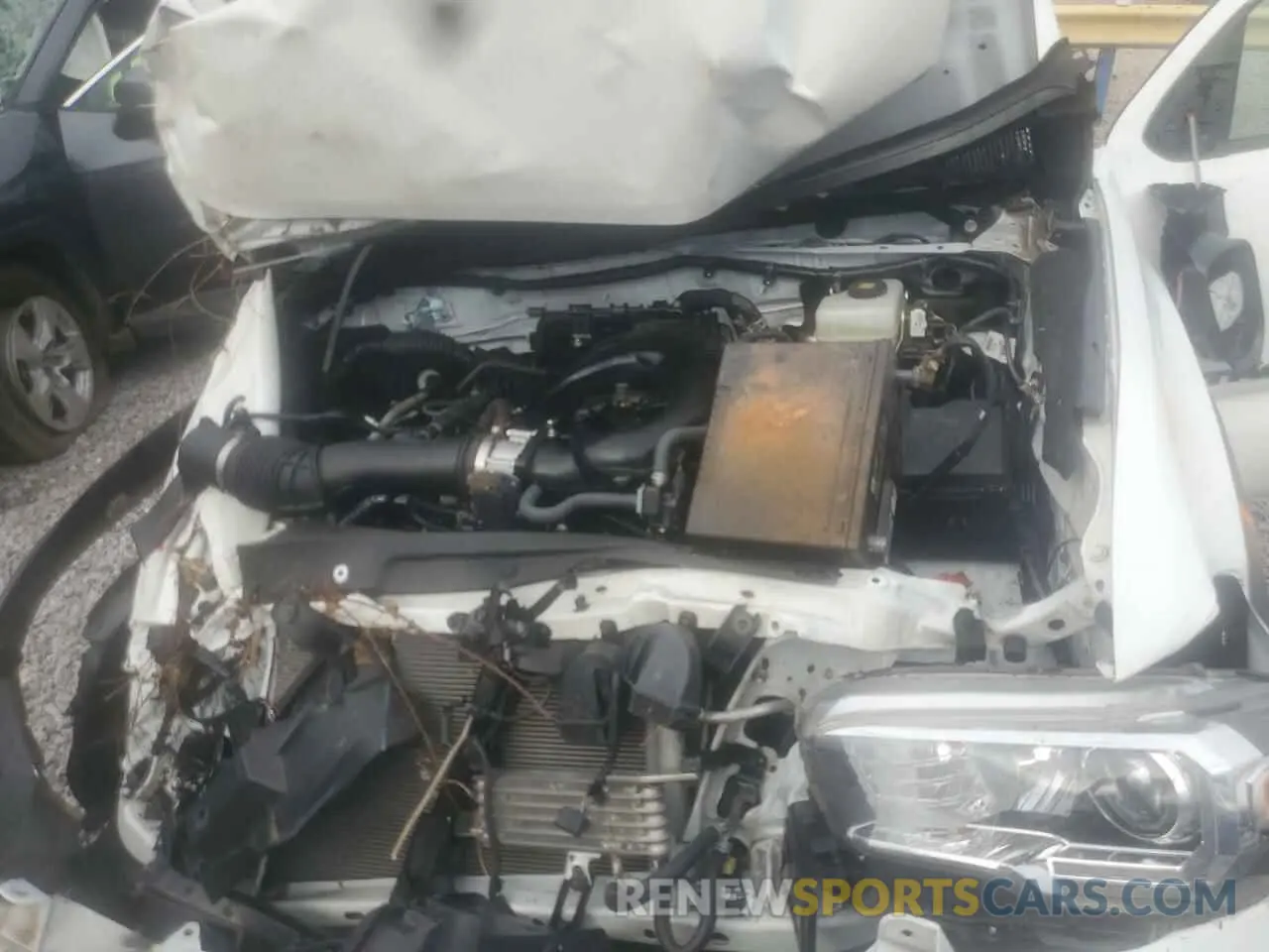 7 fotografías del automóvil dañado 3TMCZ5AN3LM328430 TOYOTA TACOMA 2020