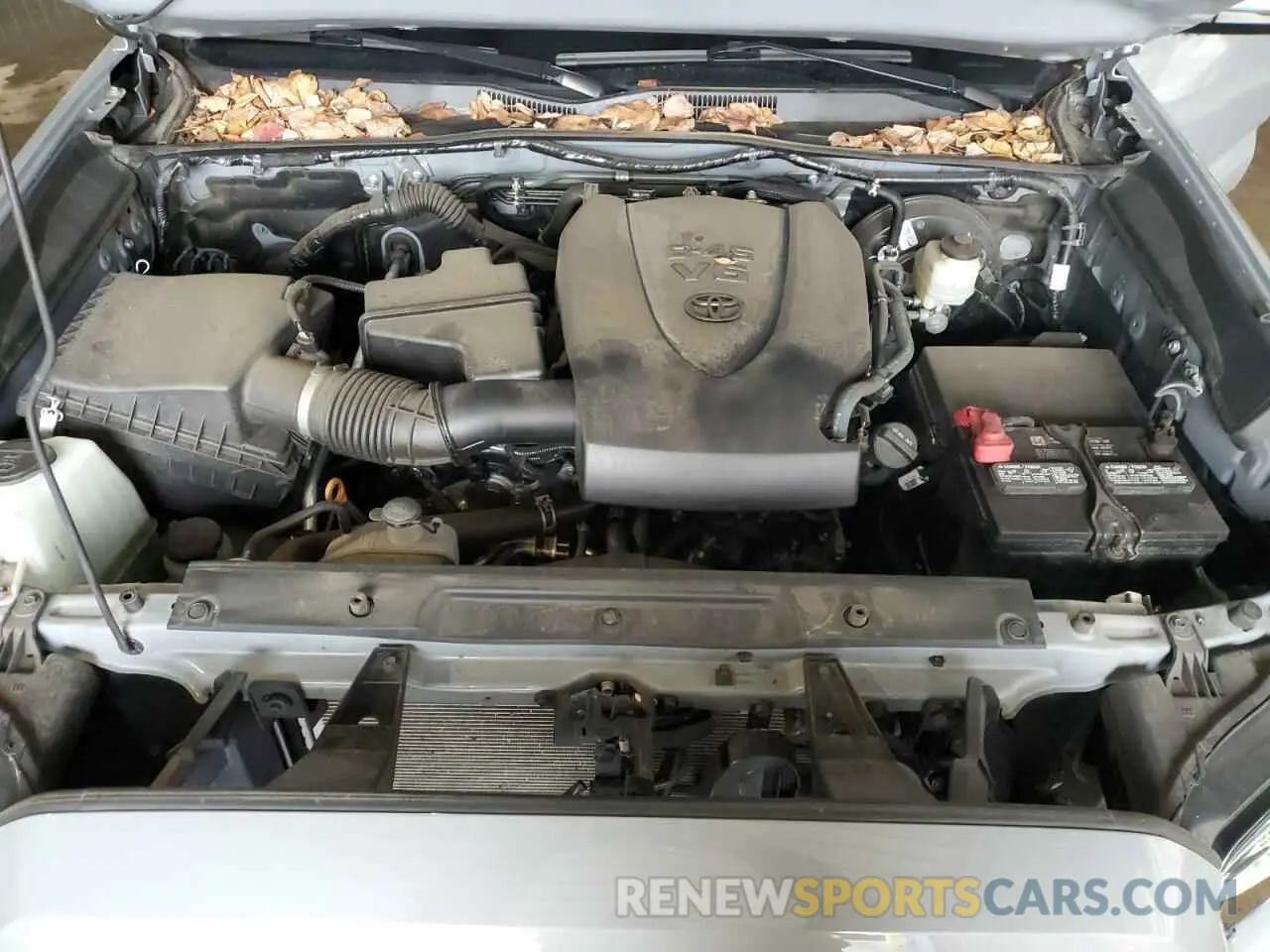 11 fotografías del automóvil dañado 3TMCZ5AN5LM328395 TOYOTA TACOMA 2020
