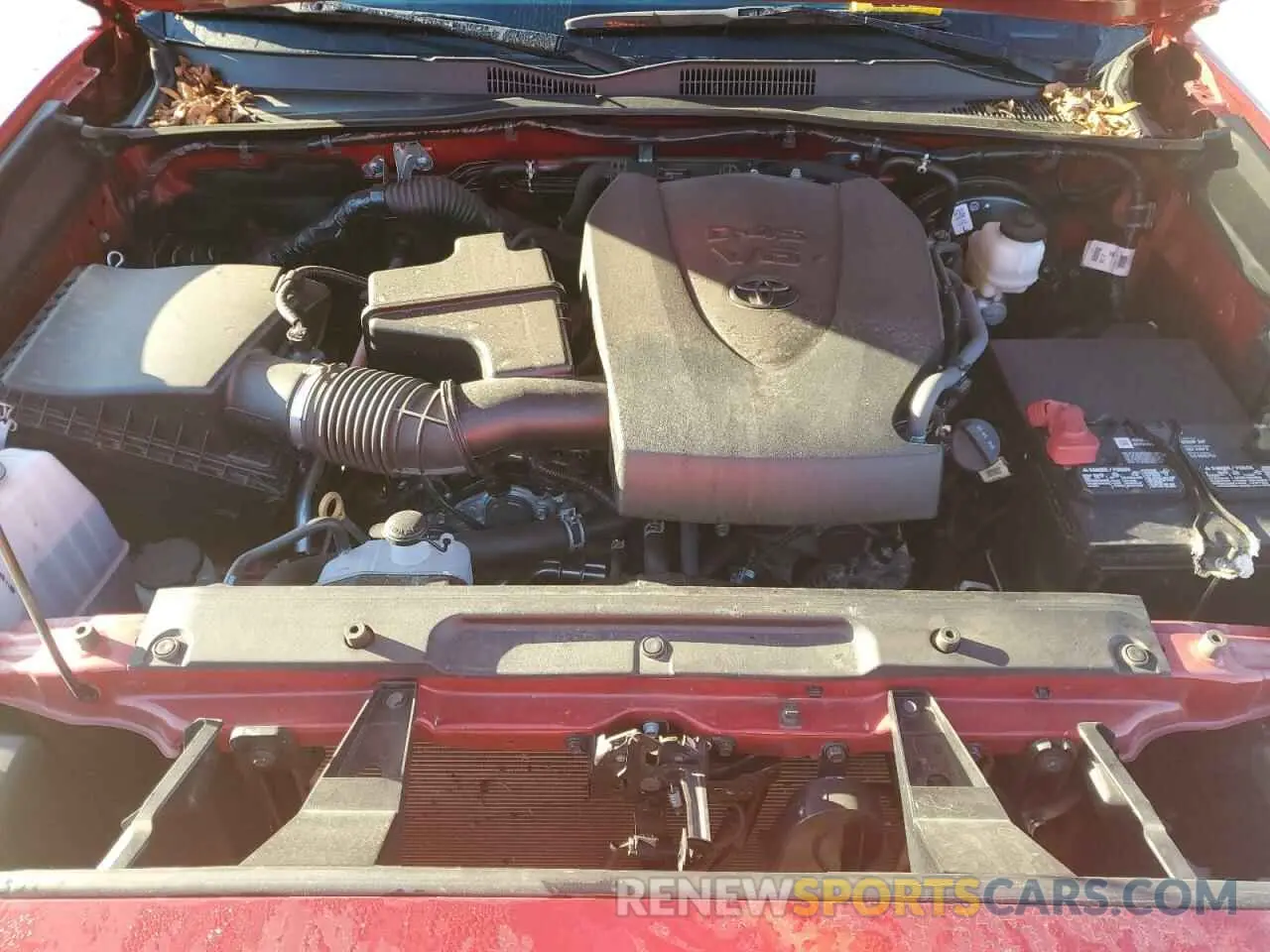 7 fotografías del automóvil dañado 3TMCZ5AN6LM346954 TOYOTA TACOMA 2020