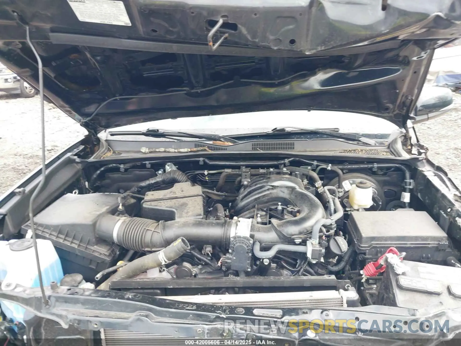 10 fotografías del automóvil dañado 3TMCZ5ANXLM317814 TOYOTA TACOMA 2020
