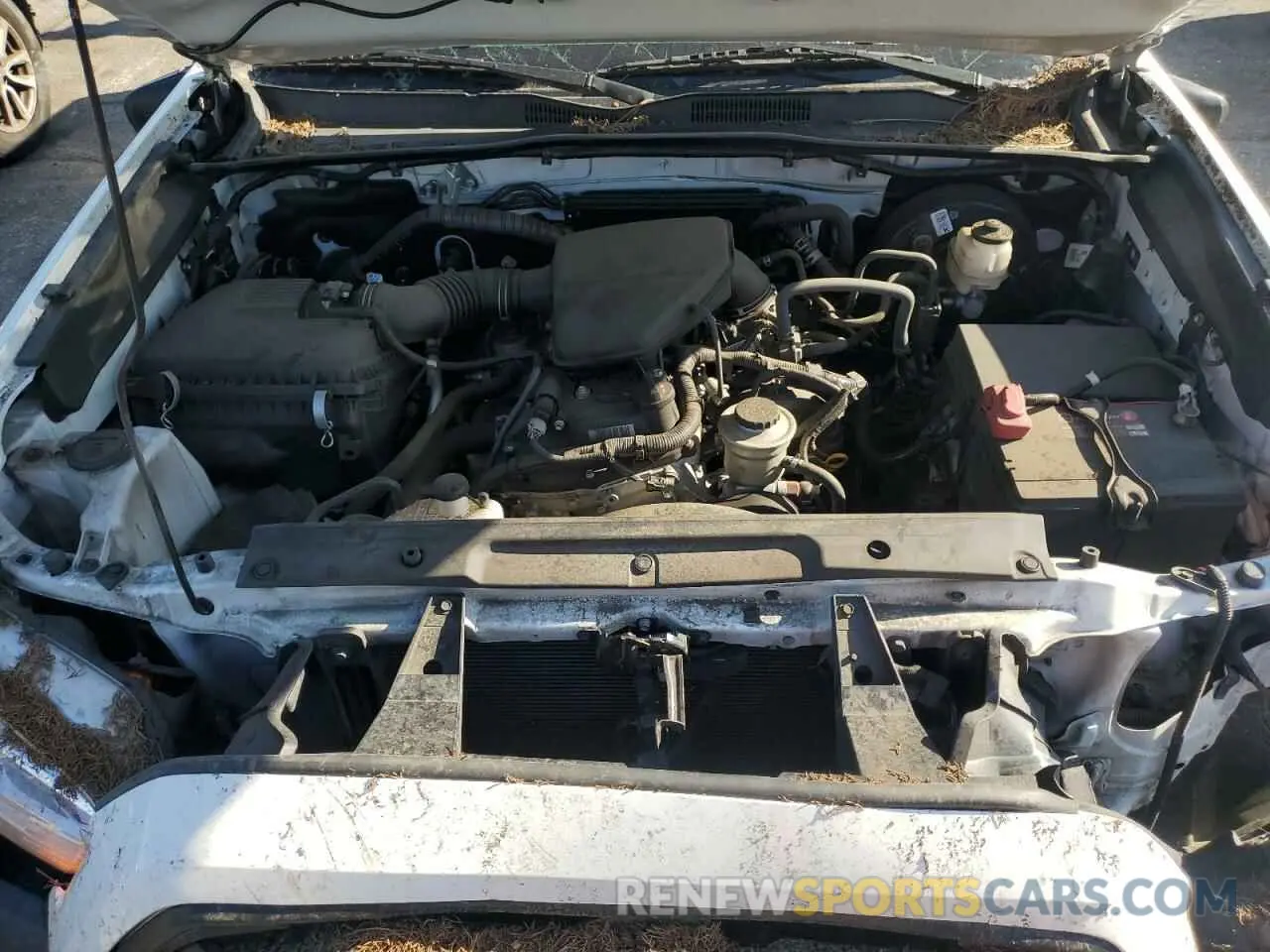 11 fotografías del automóvil dañado 5TFRX5GN5LX182839 TOYOTA TACOMA 2020