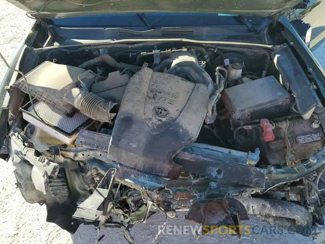 11 fotografías del automóvil dañado 3TMAZ5CN1MM154816 TOYOTA TACOMA 2021
