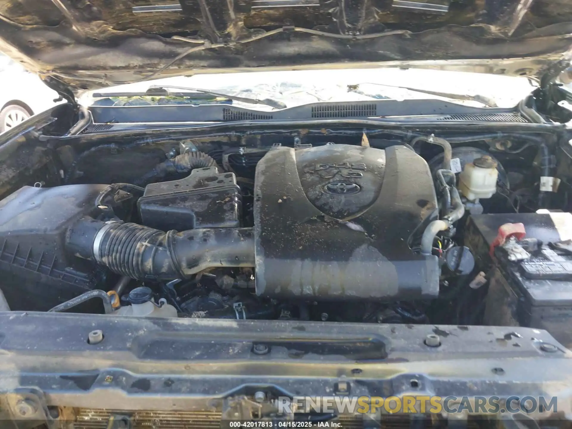 10 fotografías del automóvil dañado 3TMAZ5CN1MM159501 TOYOTA TACOMA 2021