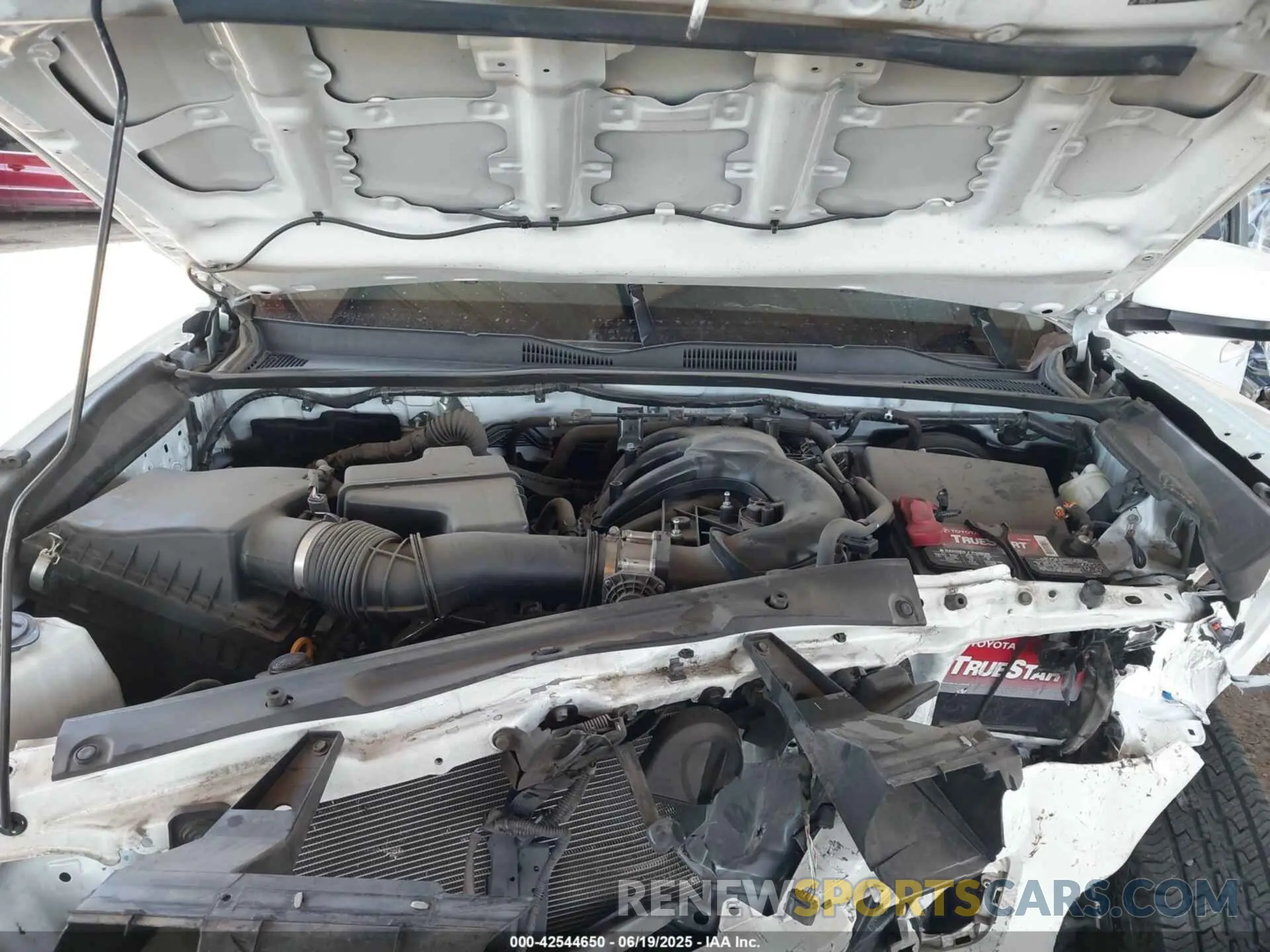 10 fotografías del automóvil dañado 3TMAZ5CN4MM144667 TOYOTA TACOMA 2021